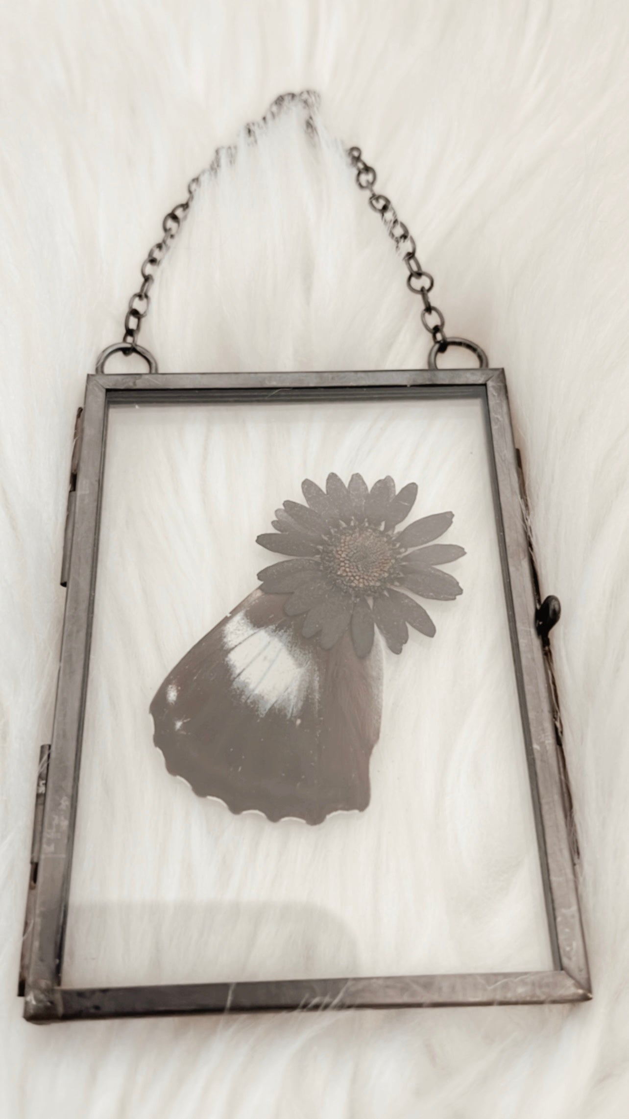 Michaela Butterfly Floral Frame