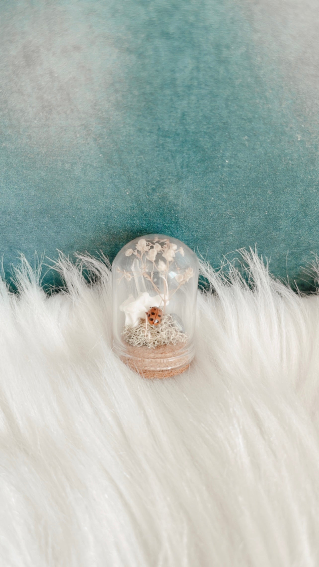 Mila Mini Terrarium