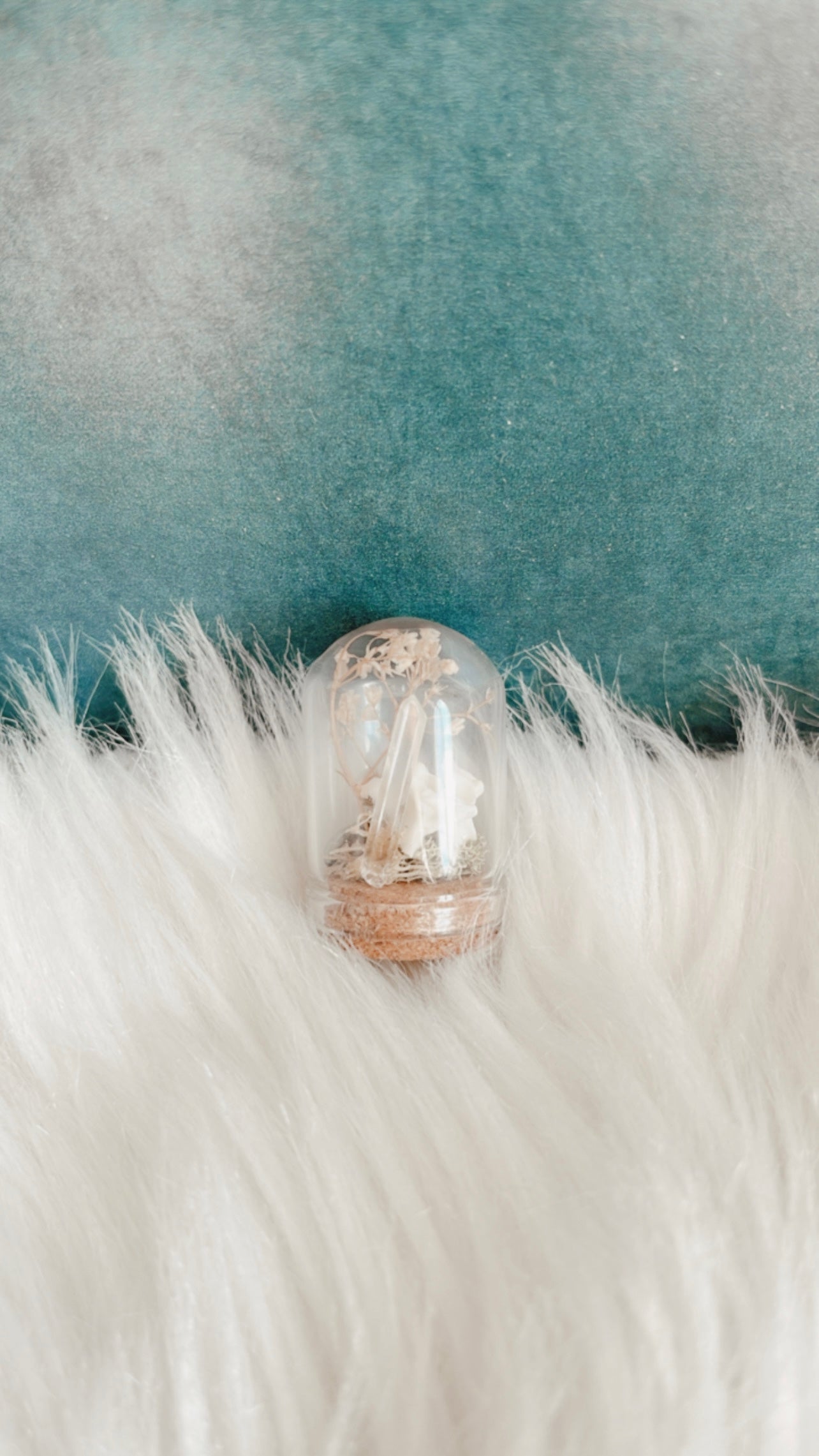 Mila Mini Terrarium
