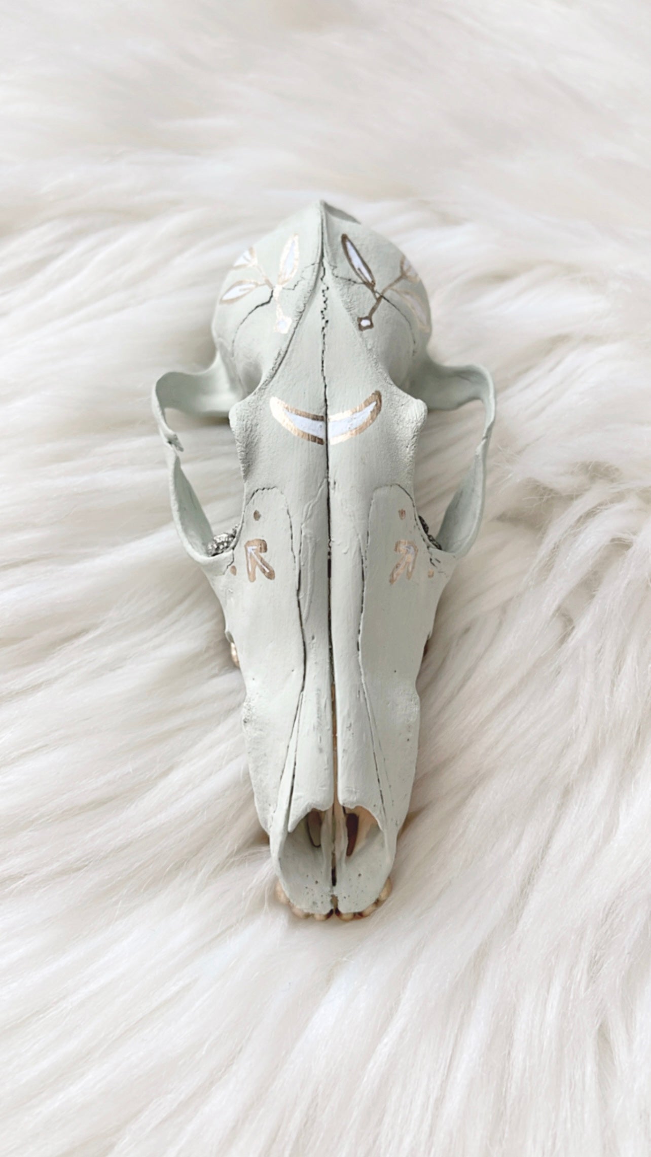 Millie Fox Skull