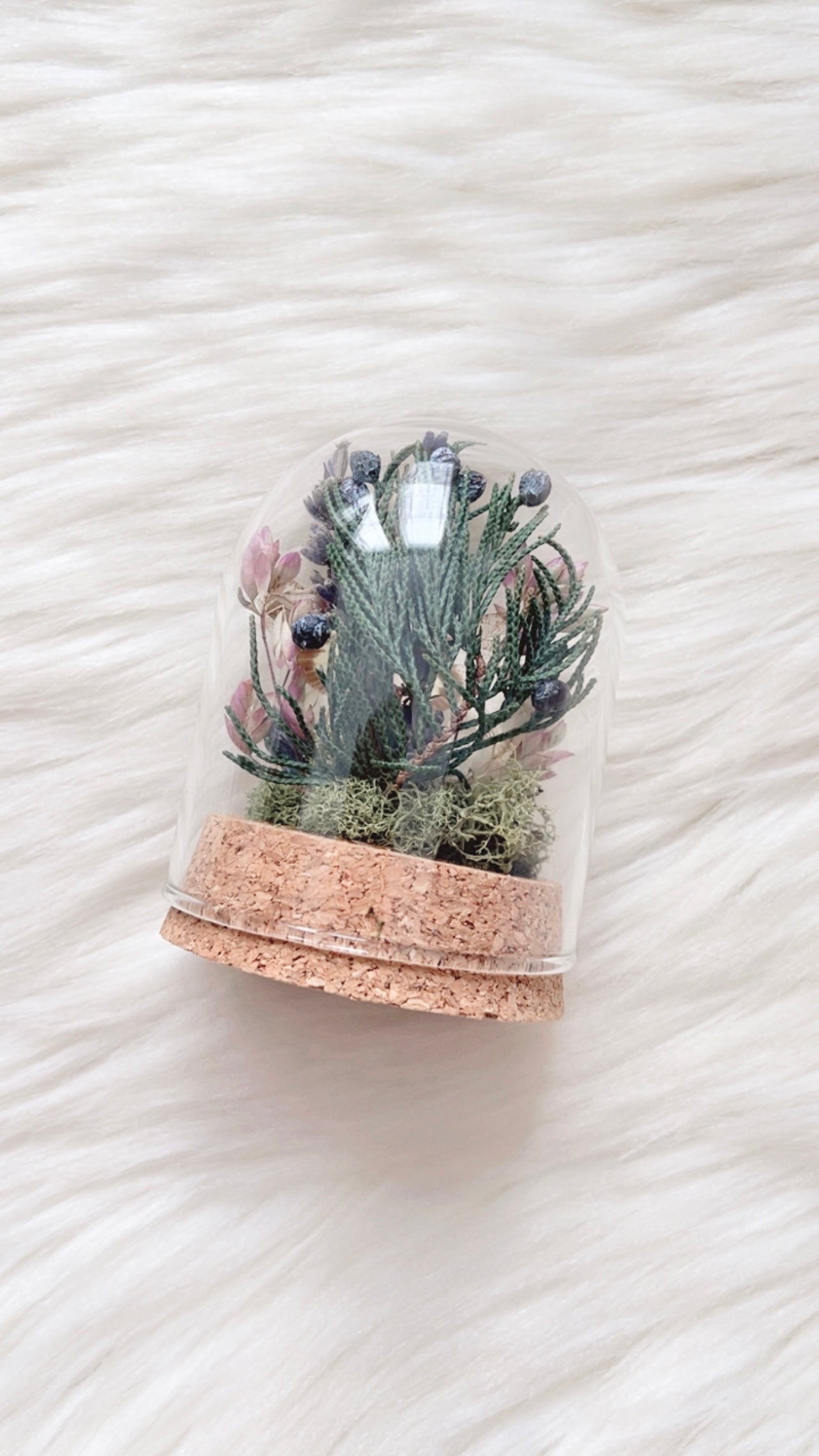 Miranda Terrarium