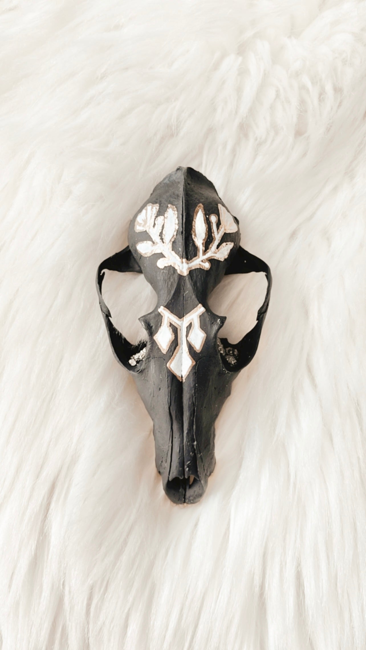 ❋ August 30, 2025 ❋ 11:15a - Fox Skull Painting Workshop