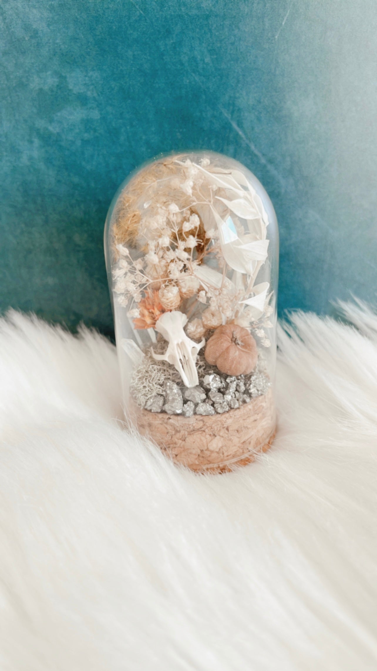 Morticia Mouse Skull Terrrarium