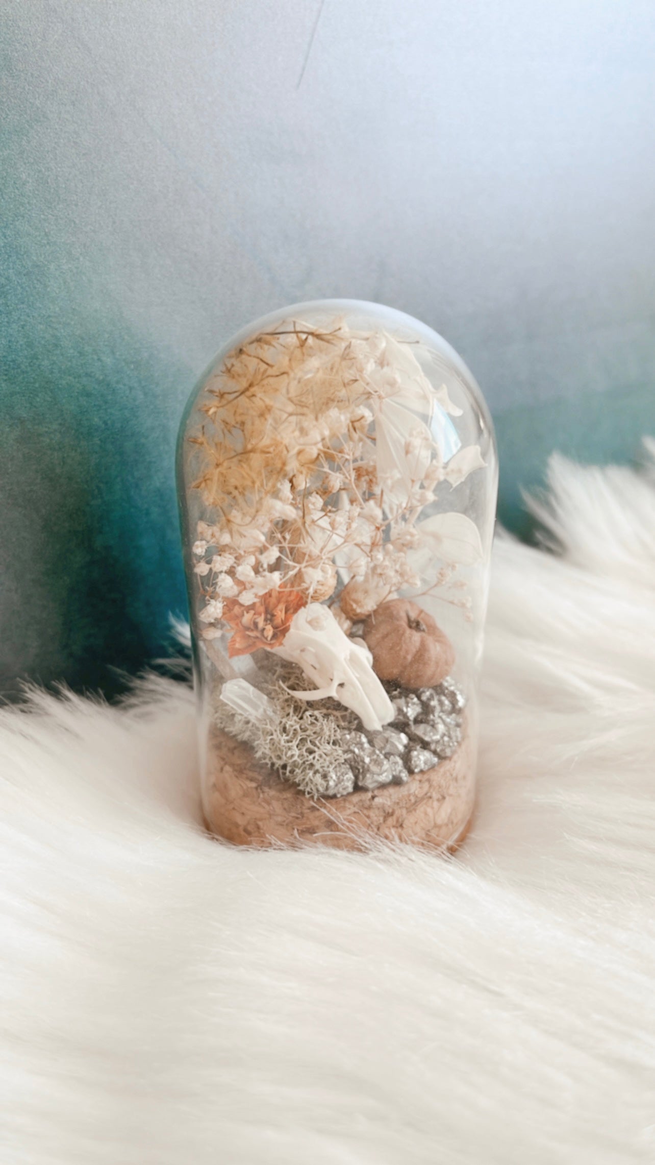 Morticia Mouse Skull Terrrarium