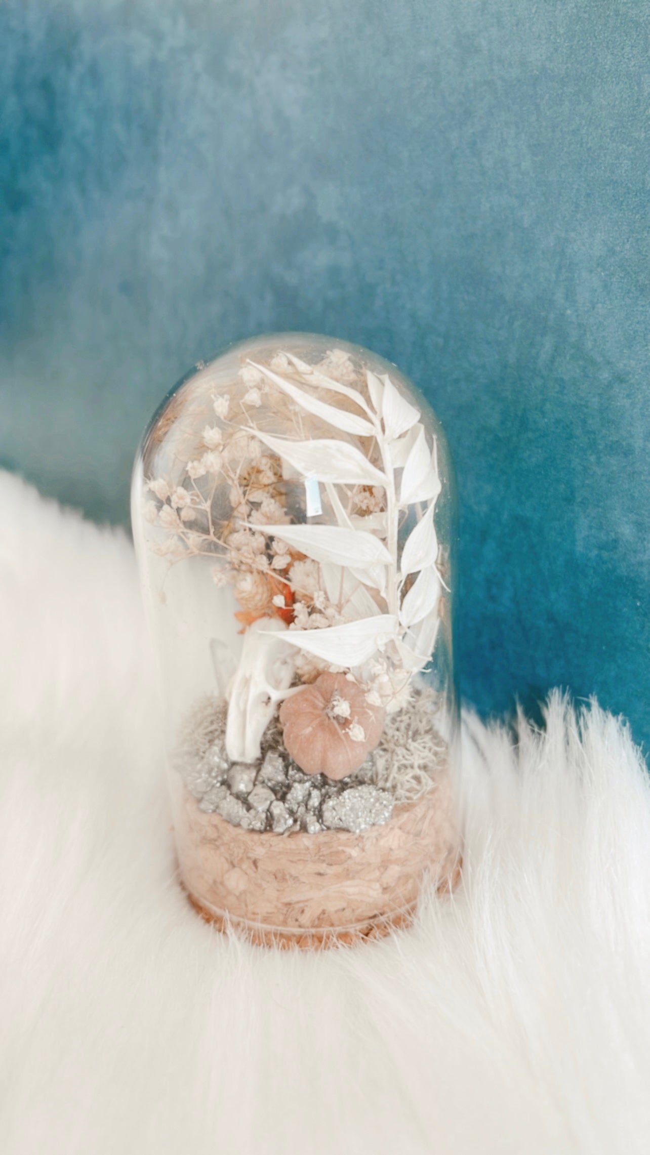 Morticia Mouse Skull Terrrarium