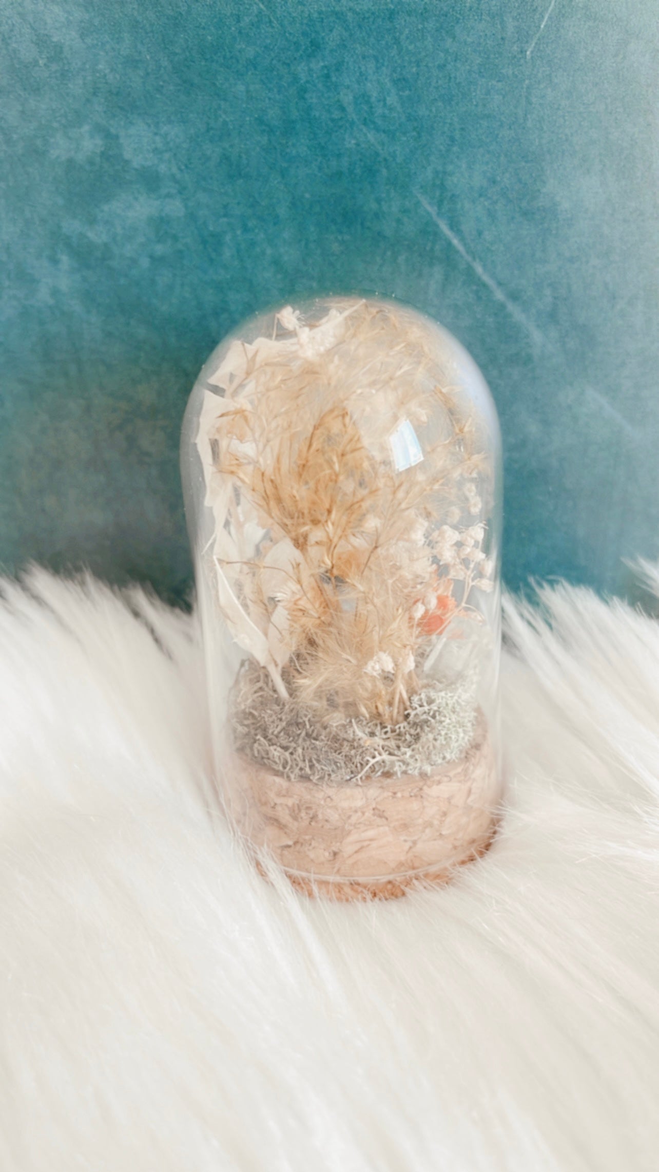 Morticia Mouse Skull Terrrarium