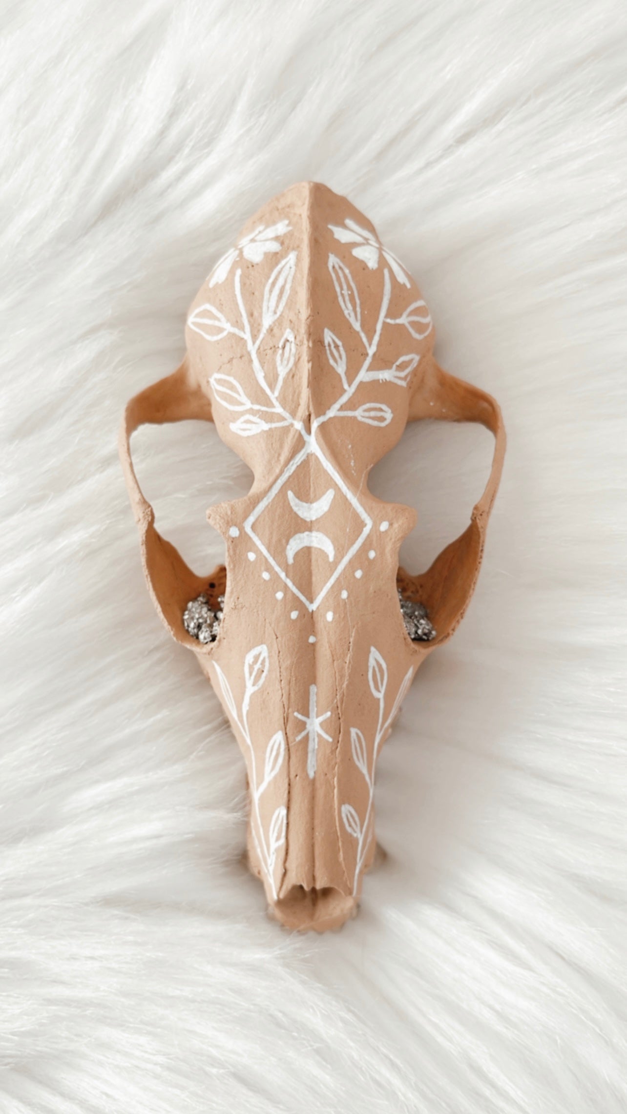 Nalini Fox Skull