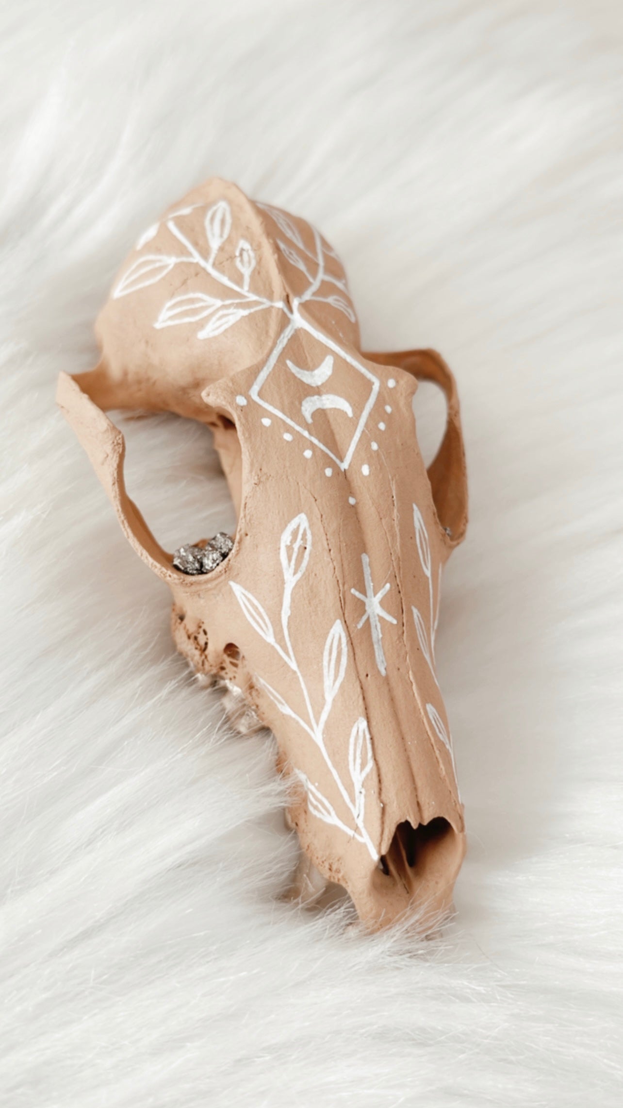Nalini Fox Skull