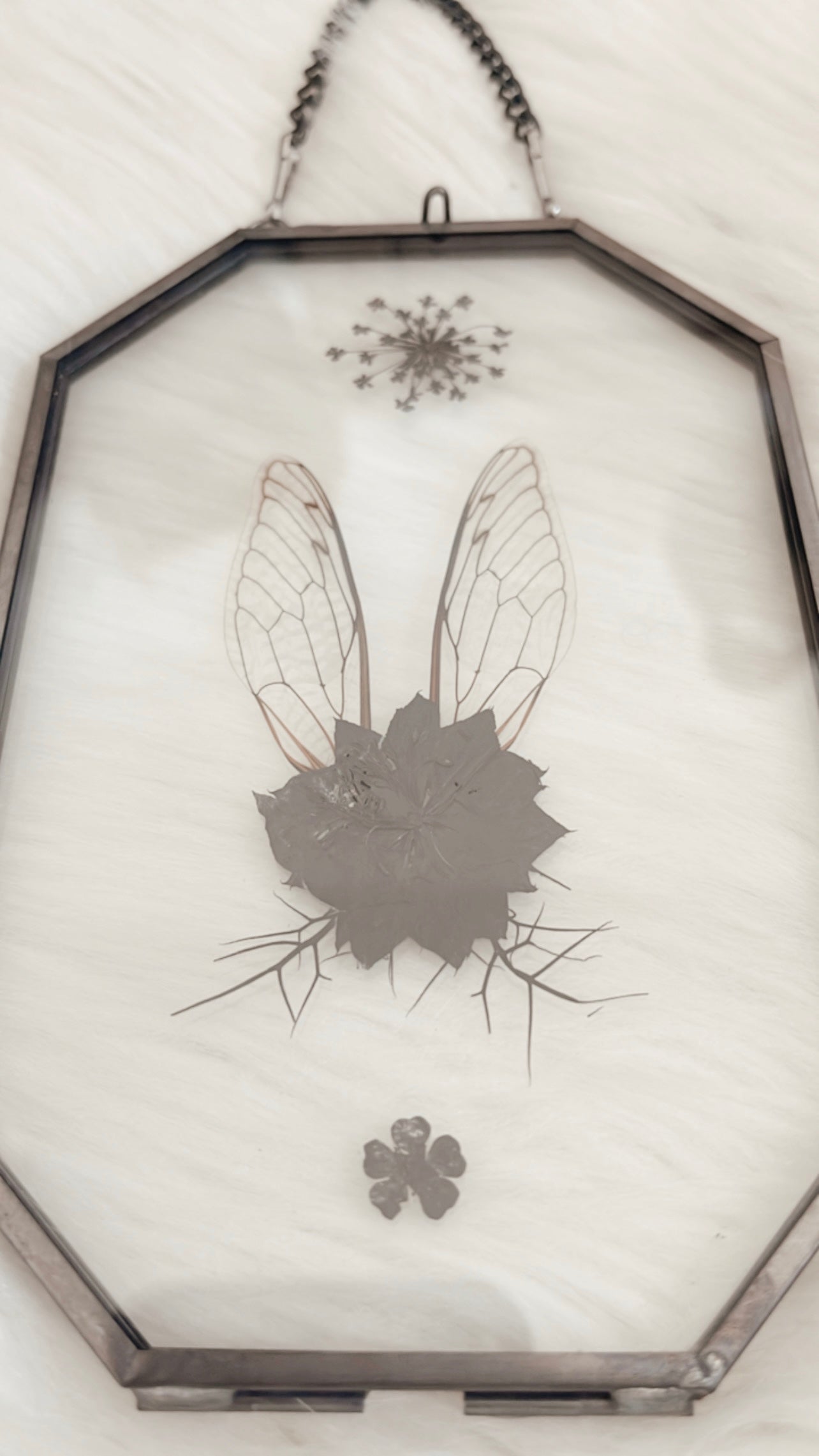 Noémie Cicada Floral Frame