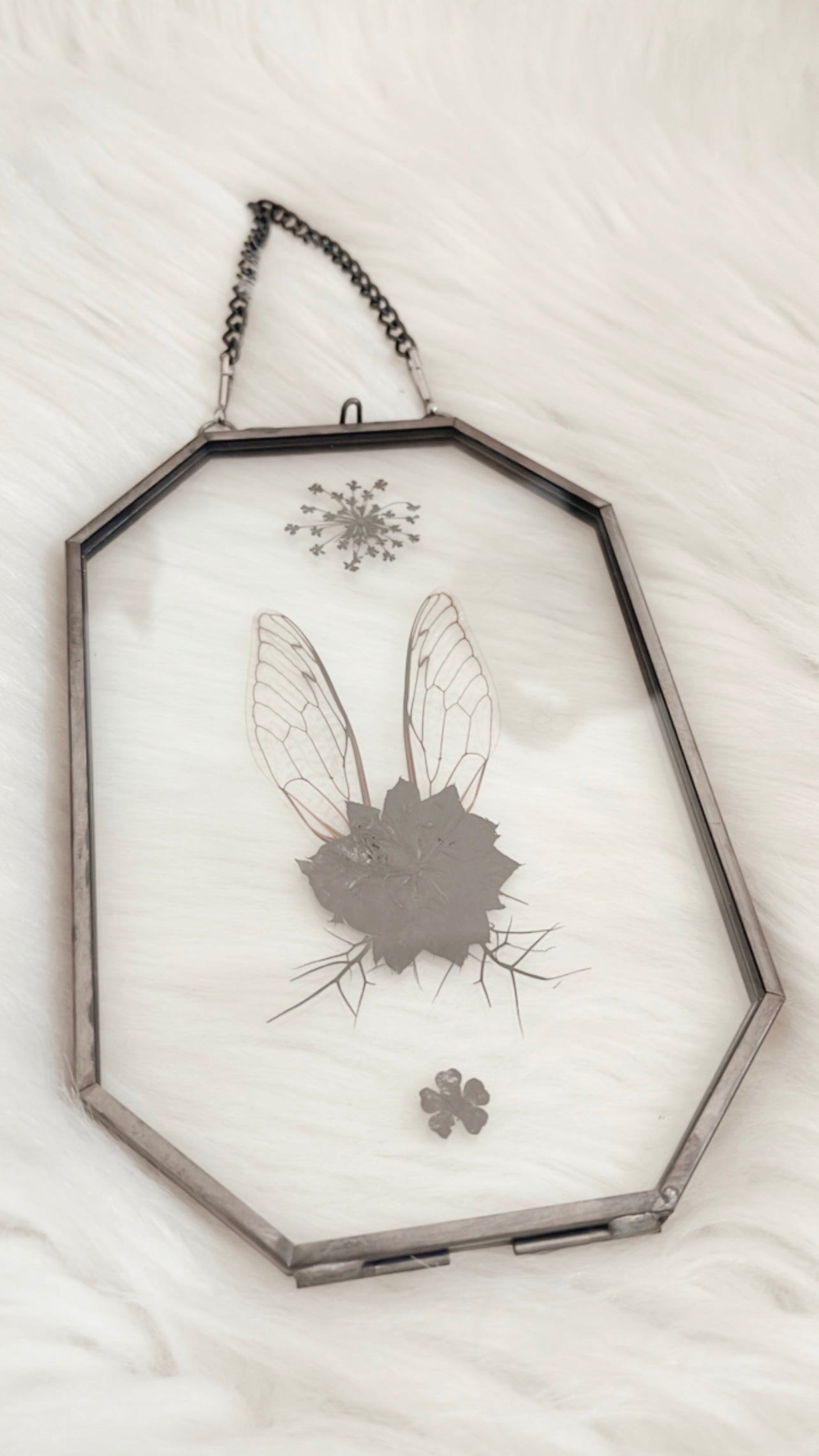 Noémie Cicada Floral Frame