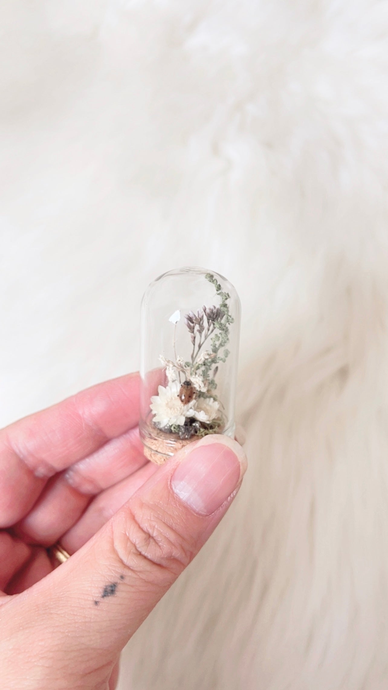 Nyla Mini Terrarium