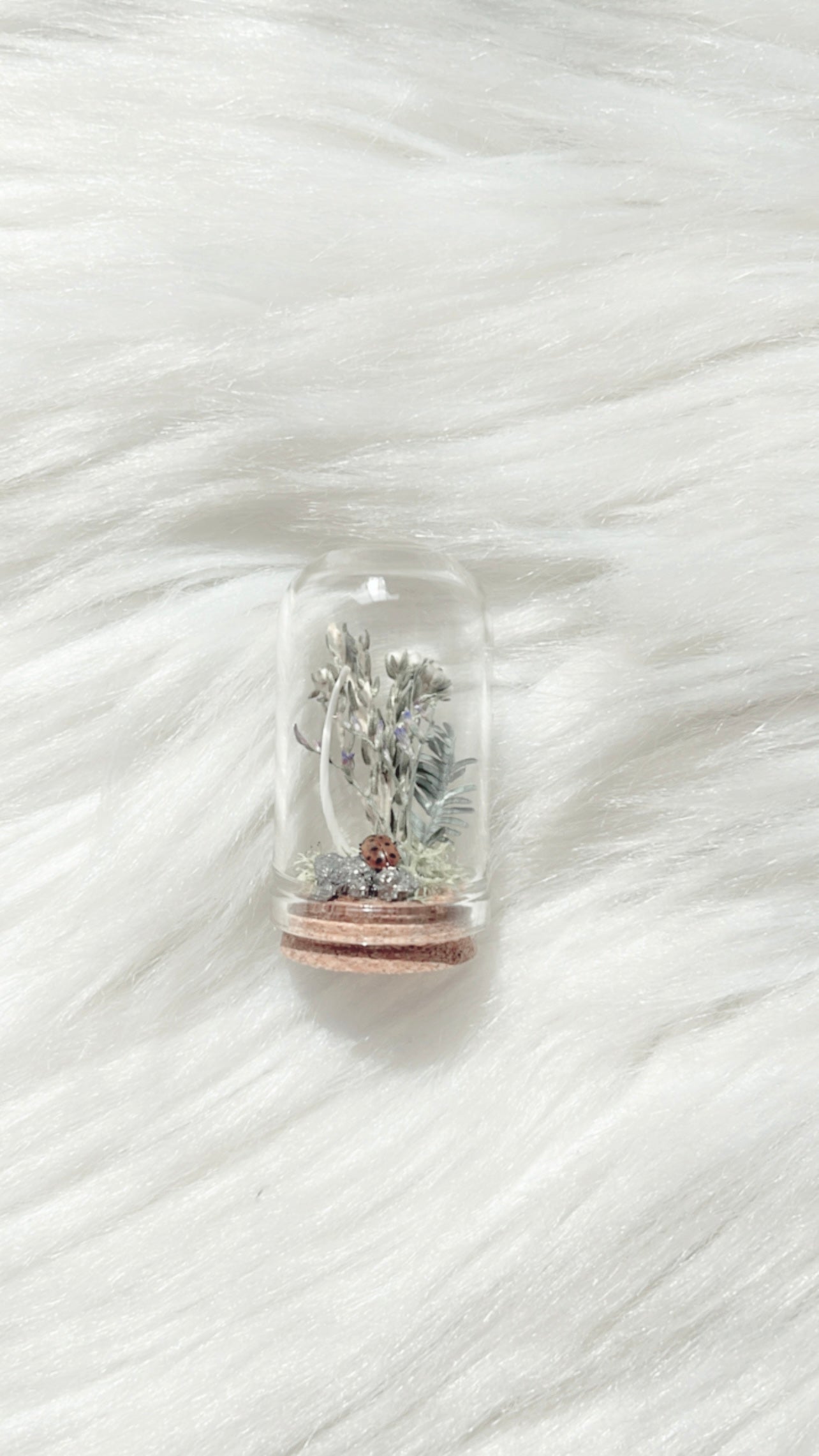 Oakley Terrarium