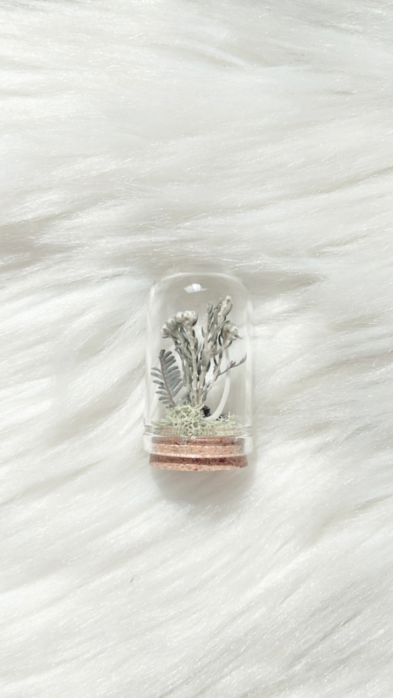 Oakley Terrarium