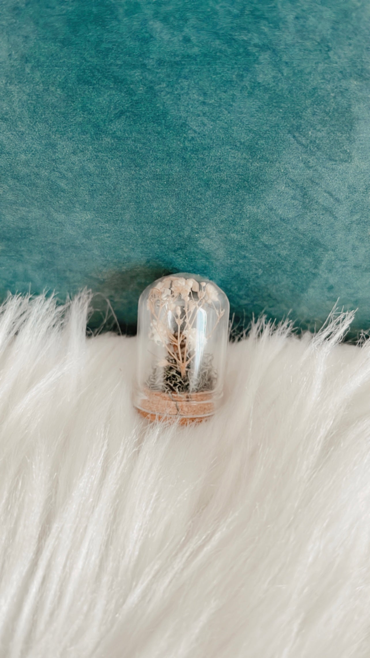 Olivia Mini Terrarium