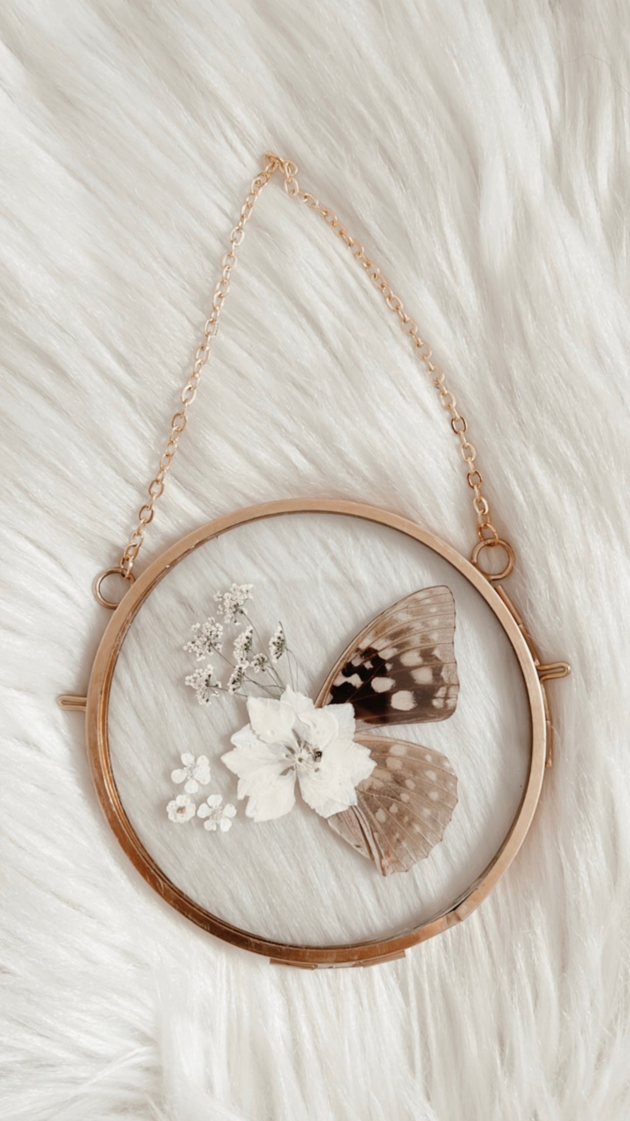 Oriana Butterfly Floral Frame