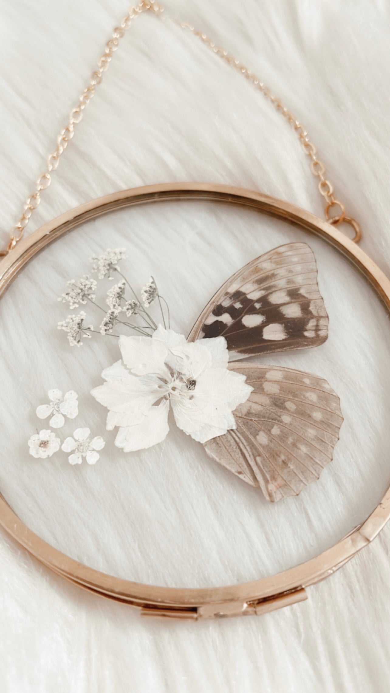Oriana Butterfly Floral Frame