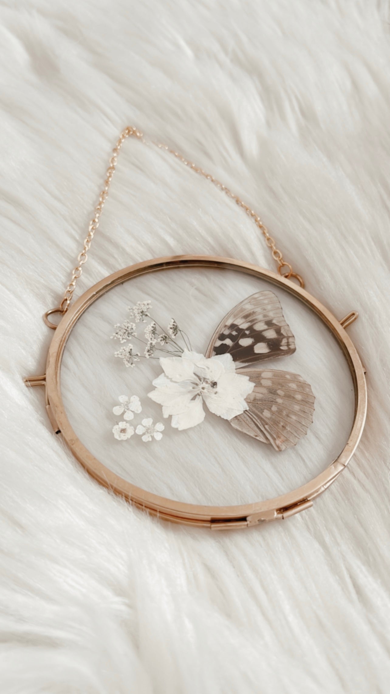 Oriana Butterfly Floral Frame