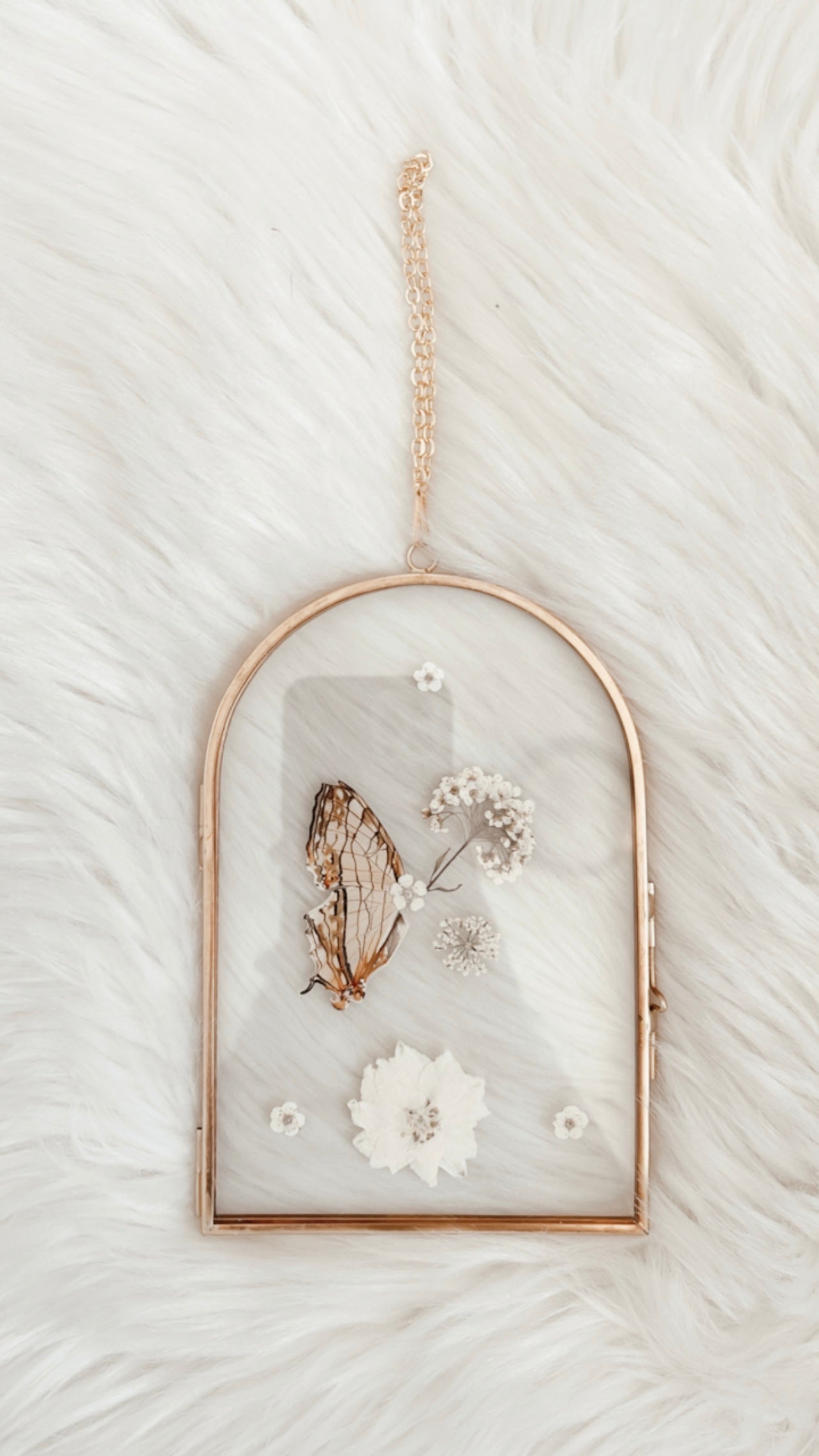Phoebe Butterfly Floral Frame