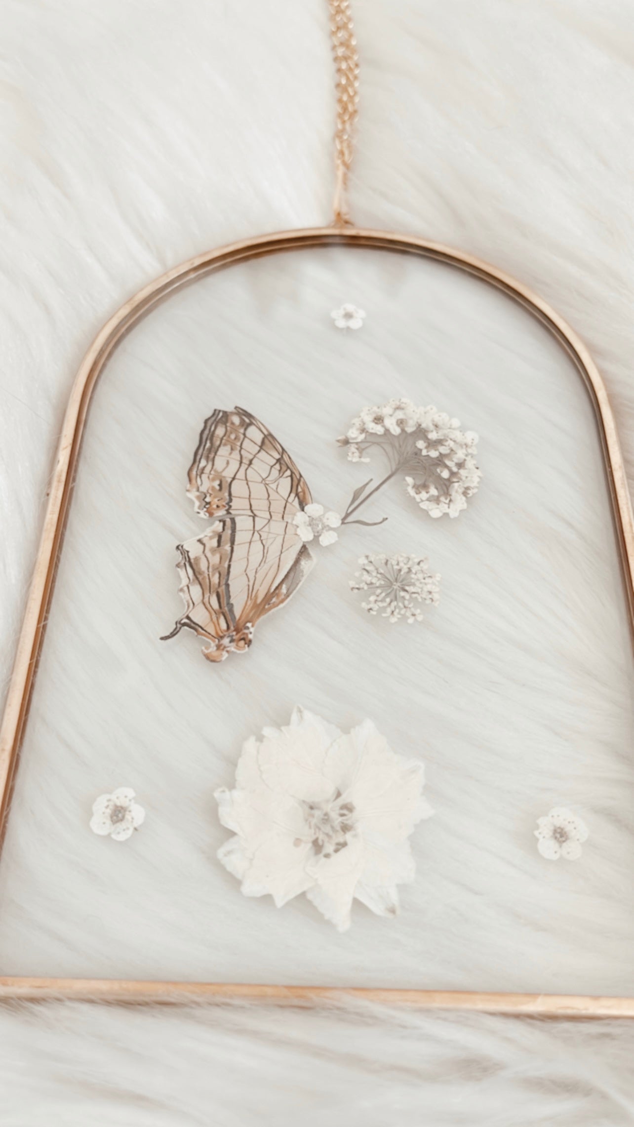 Phoebe Butterfly Floral Frame