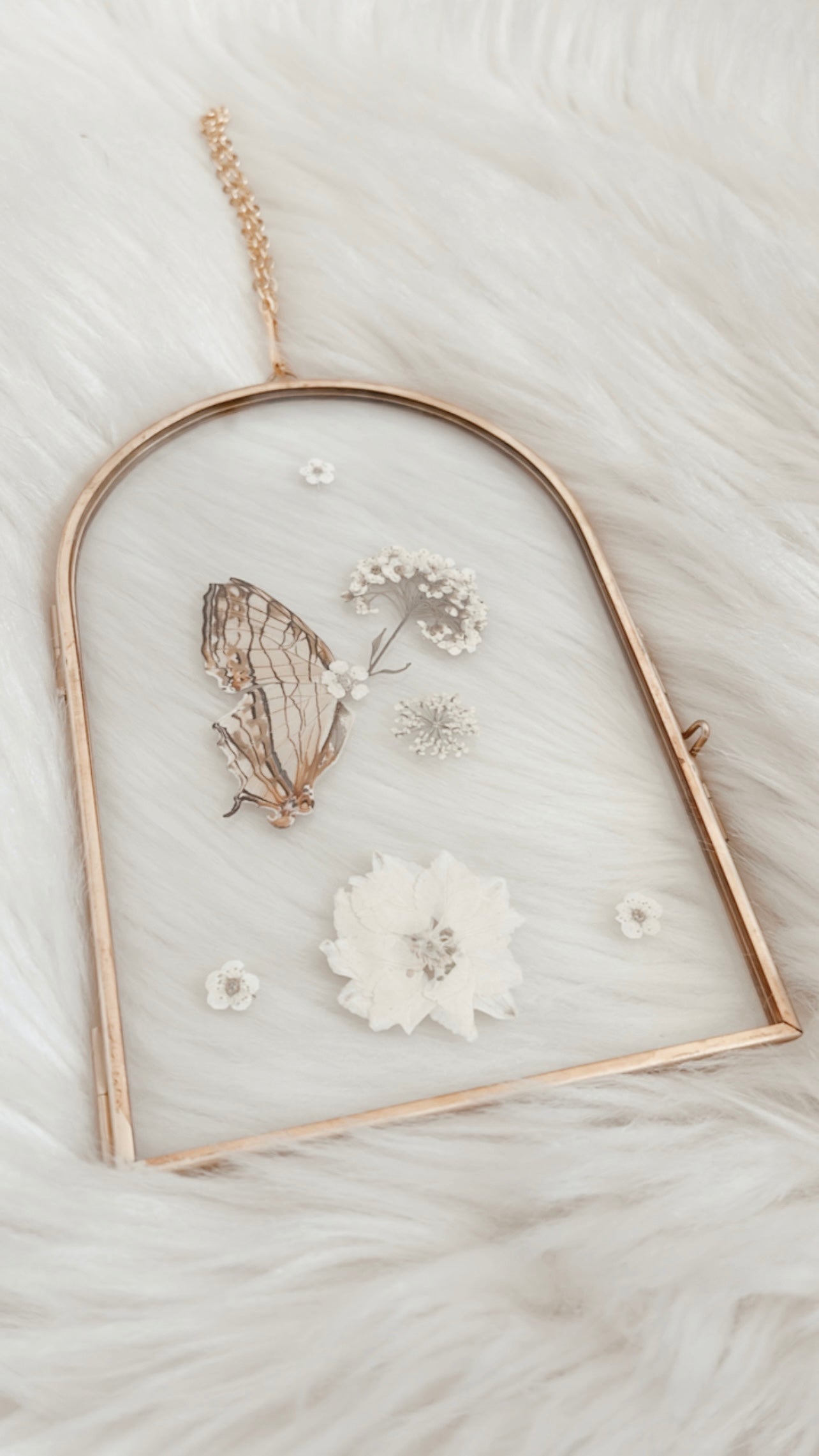 Phoebe Butterfly Floral Frame