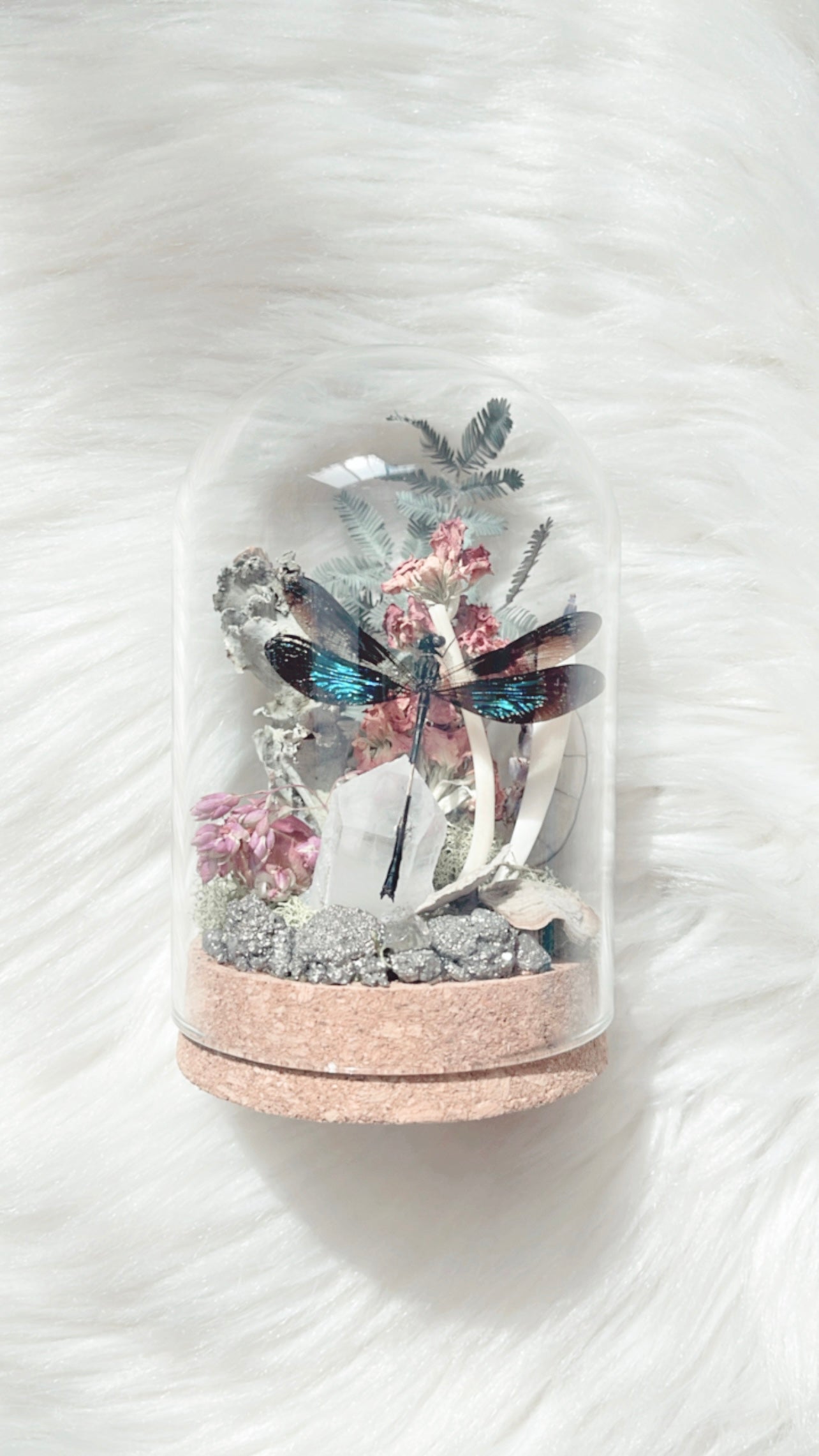 Phoebe Terrarium