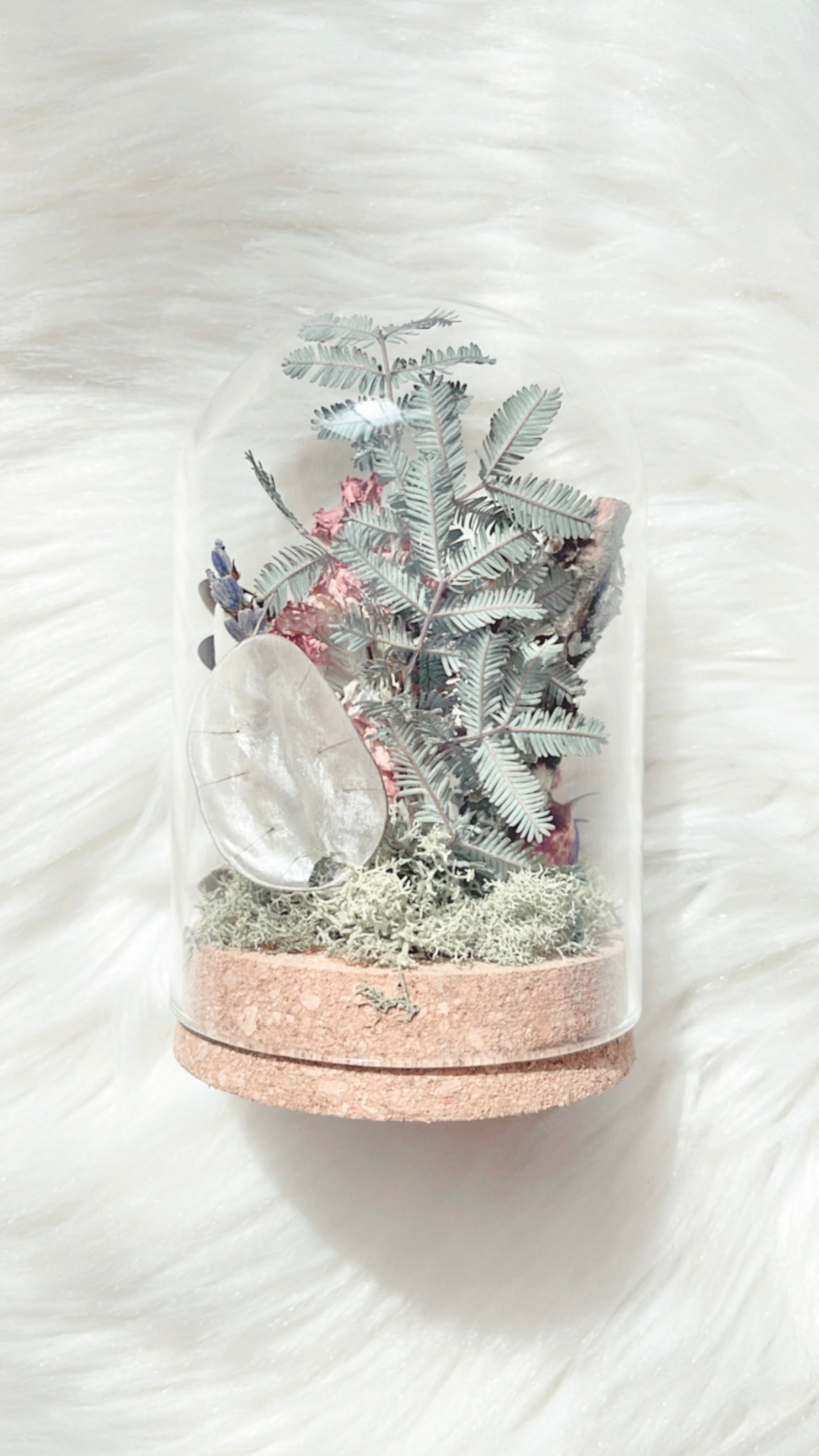 Phoebe Terrarium