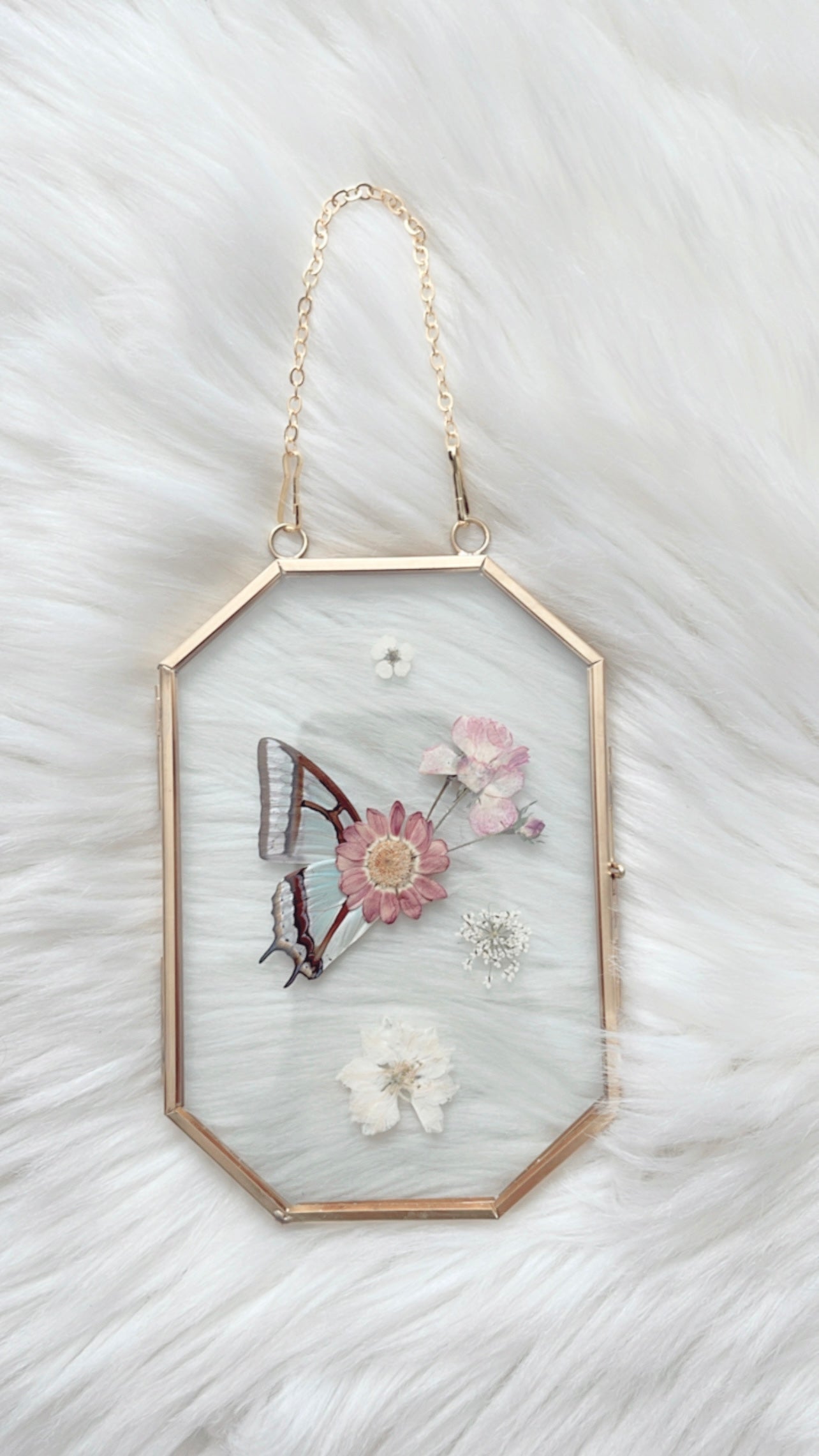 Poppy Butterfly Floral Frame