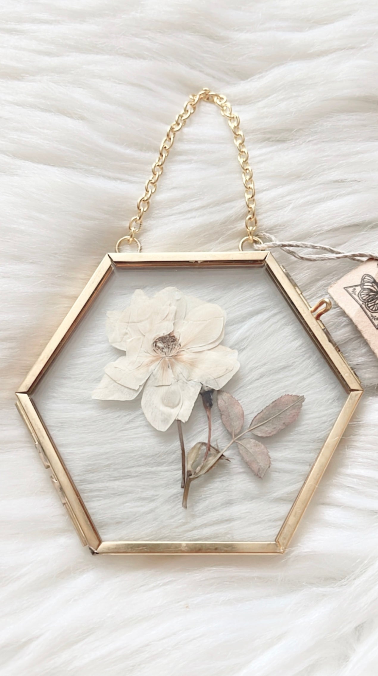 Poppy Floral Frame <3.5x3.25in>