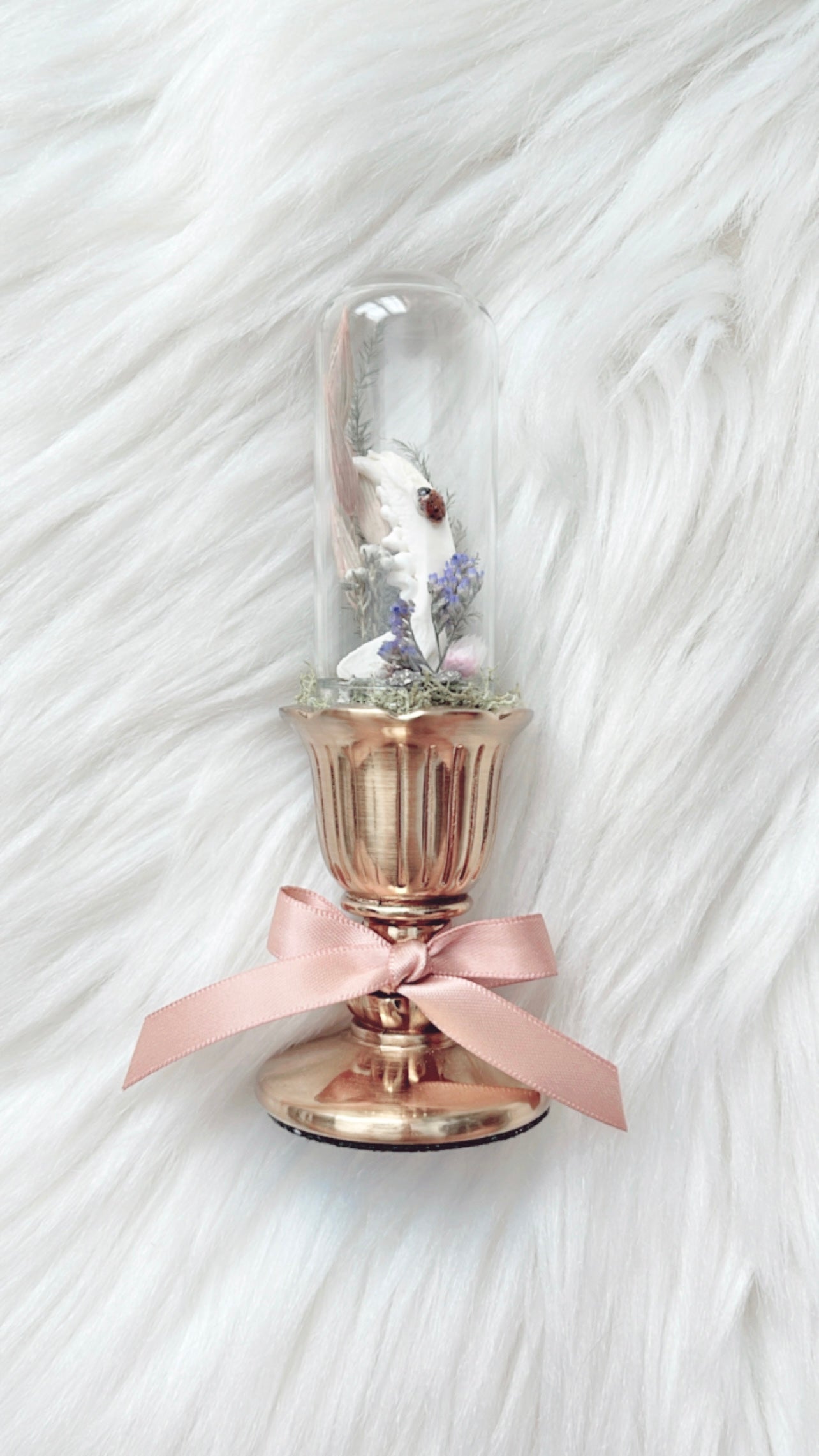 Poppy Terrarium