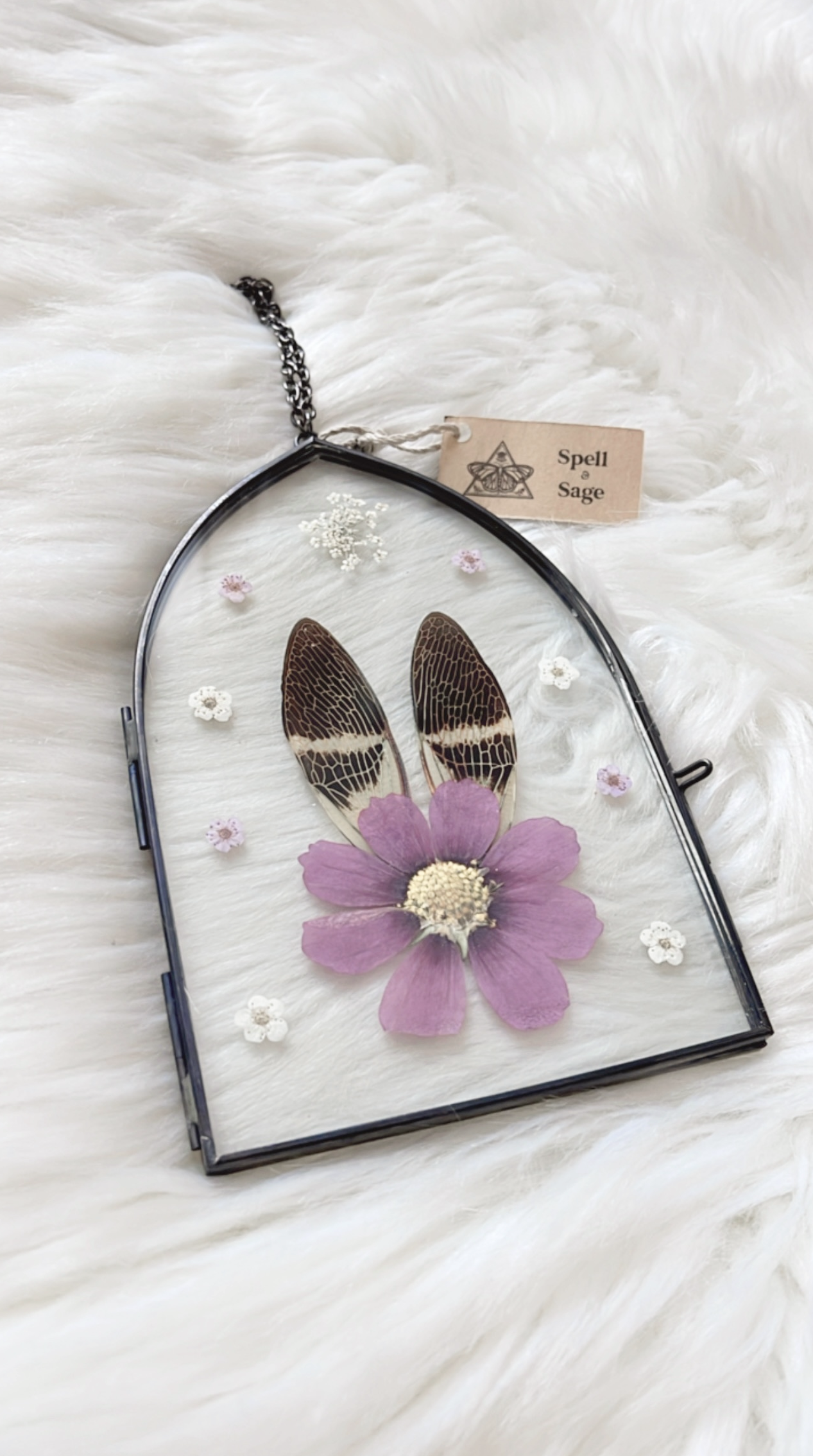 Primrose Cicada Floral Frame <4x6in>