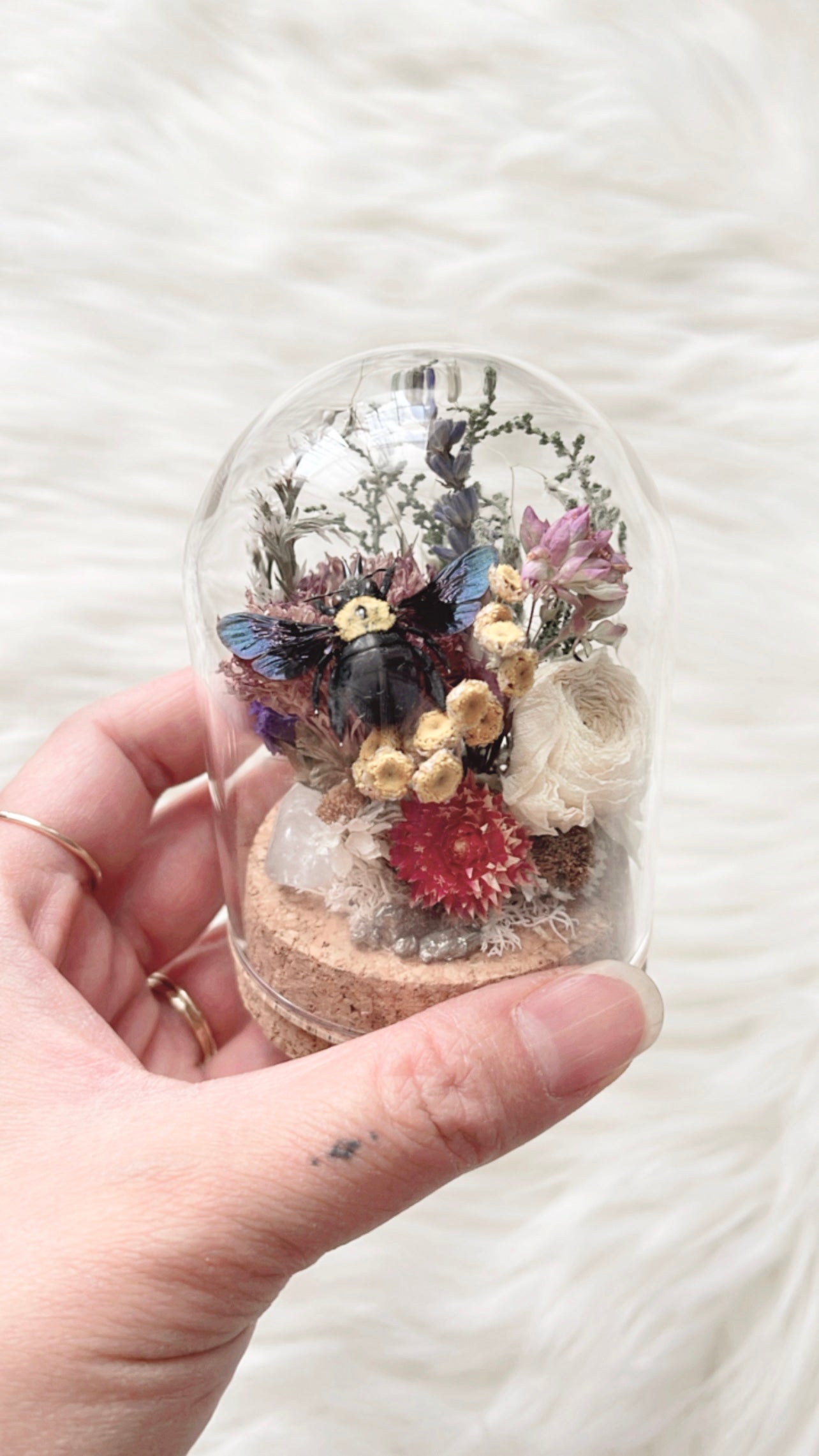 Prudence Terrarium