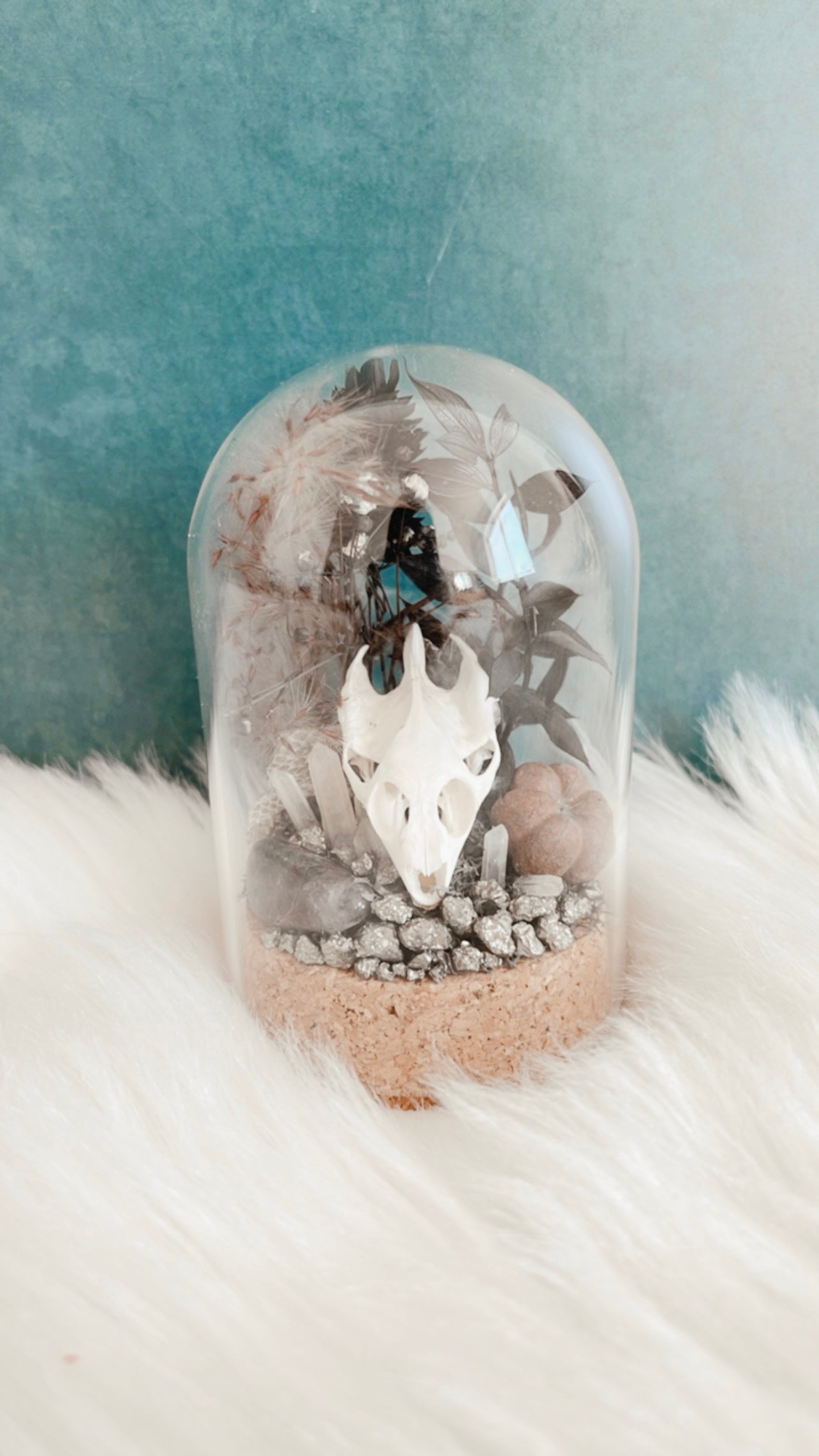 Pugsley Turtle Skull Terrarium