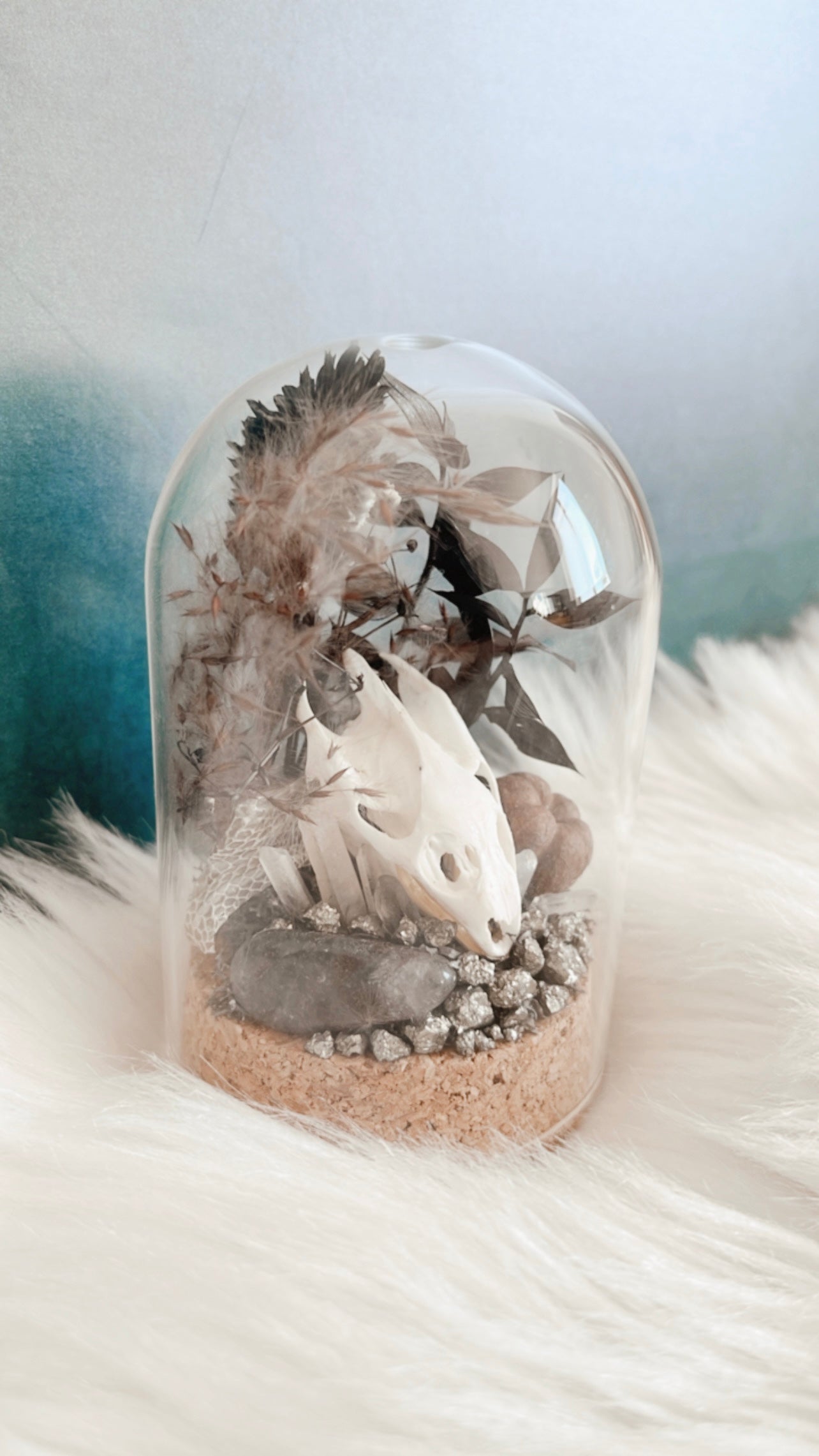 Pugsley Turtle Skull Terrarium