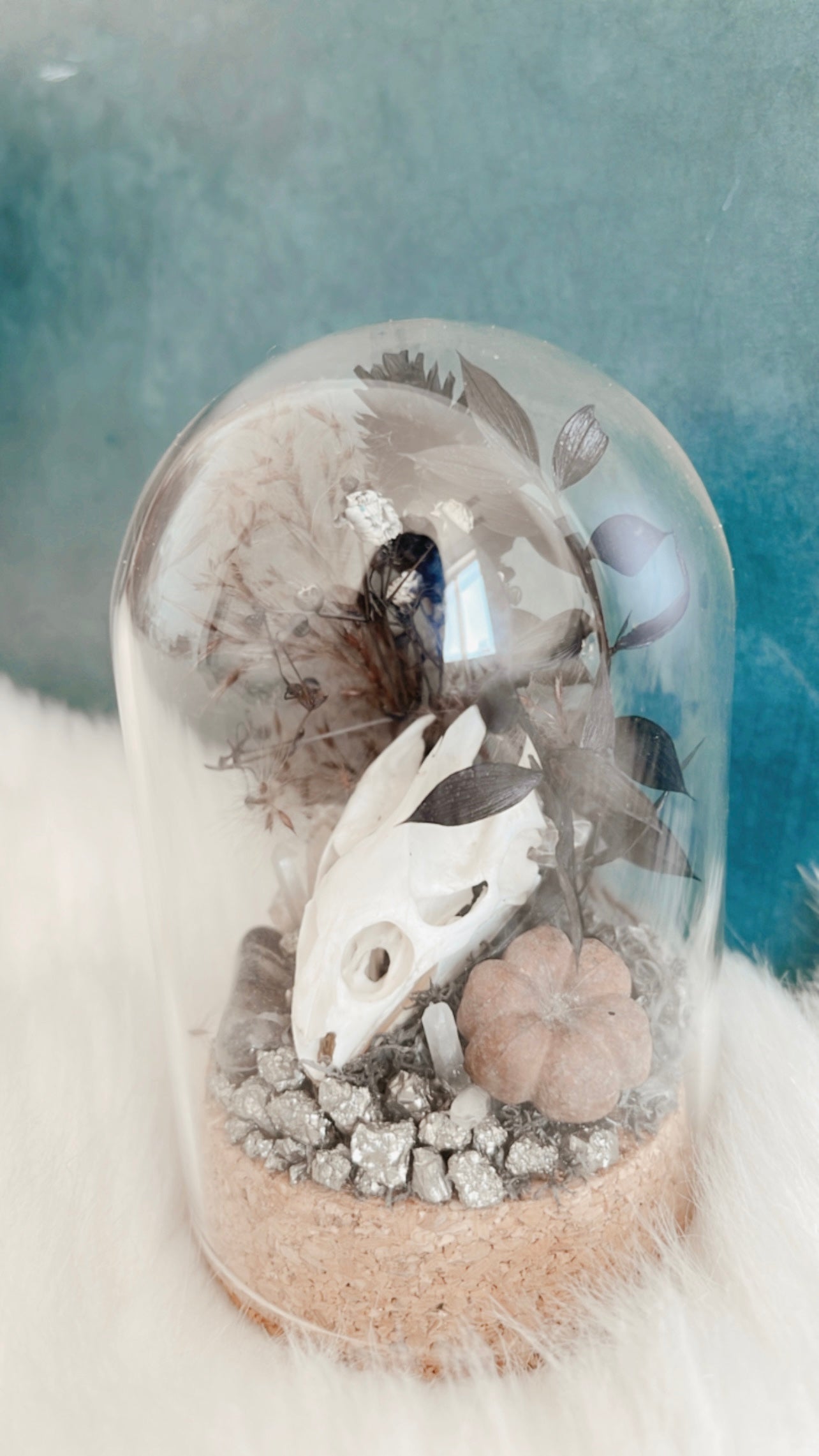 Pugsley Turtle Skull Terrarium