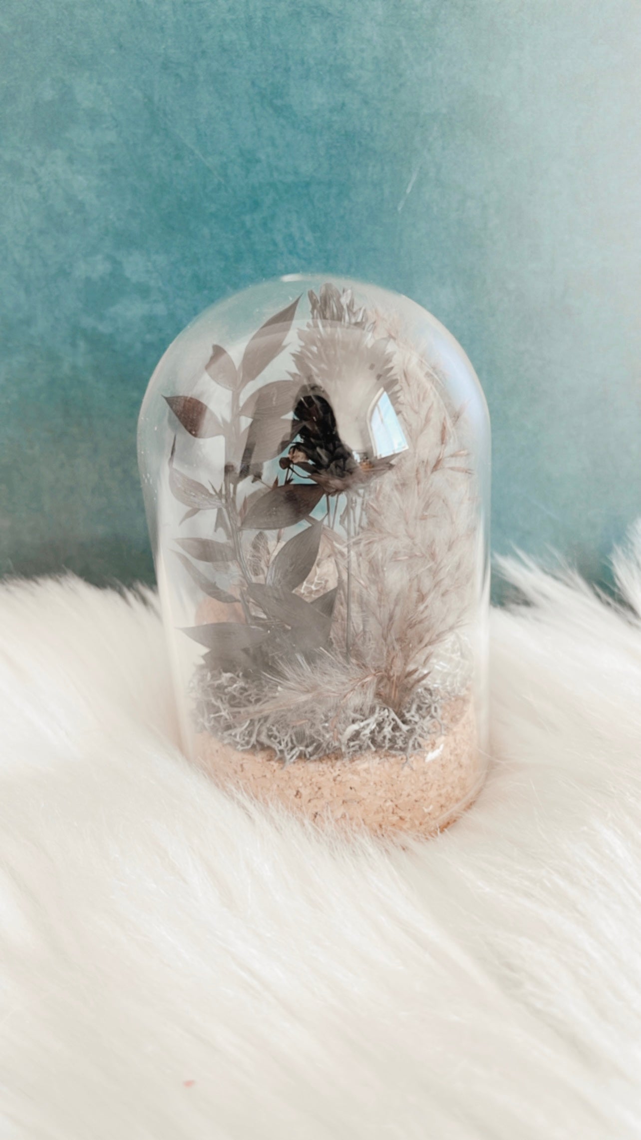 Pugsley Turtle Skull Terrarium