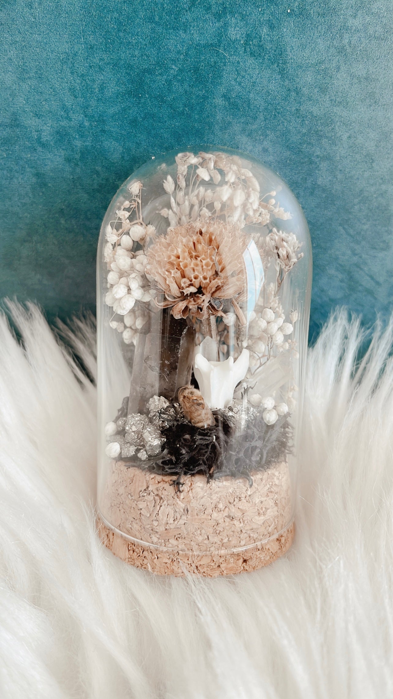 Queenie Terrarium