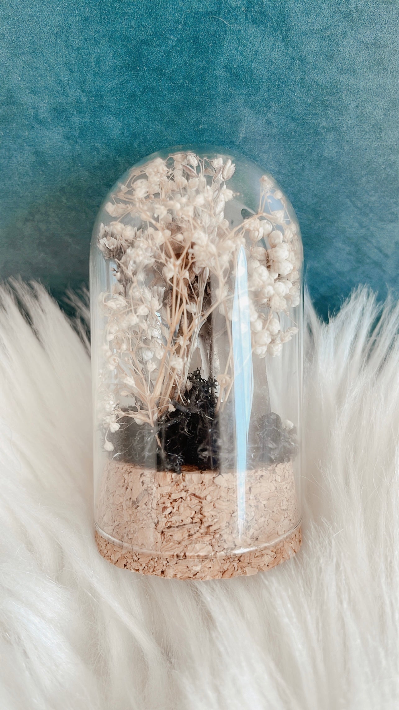 Queenie Terrarium