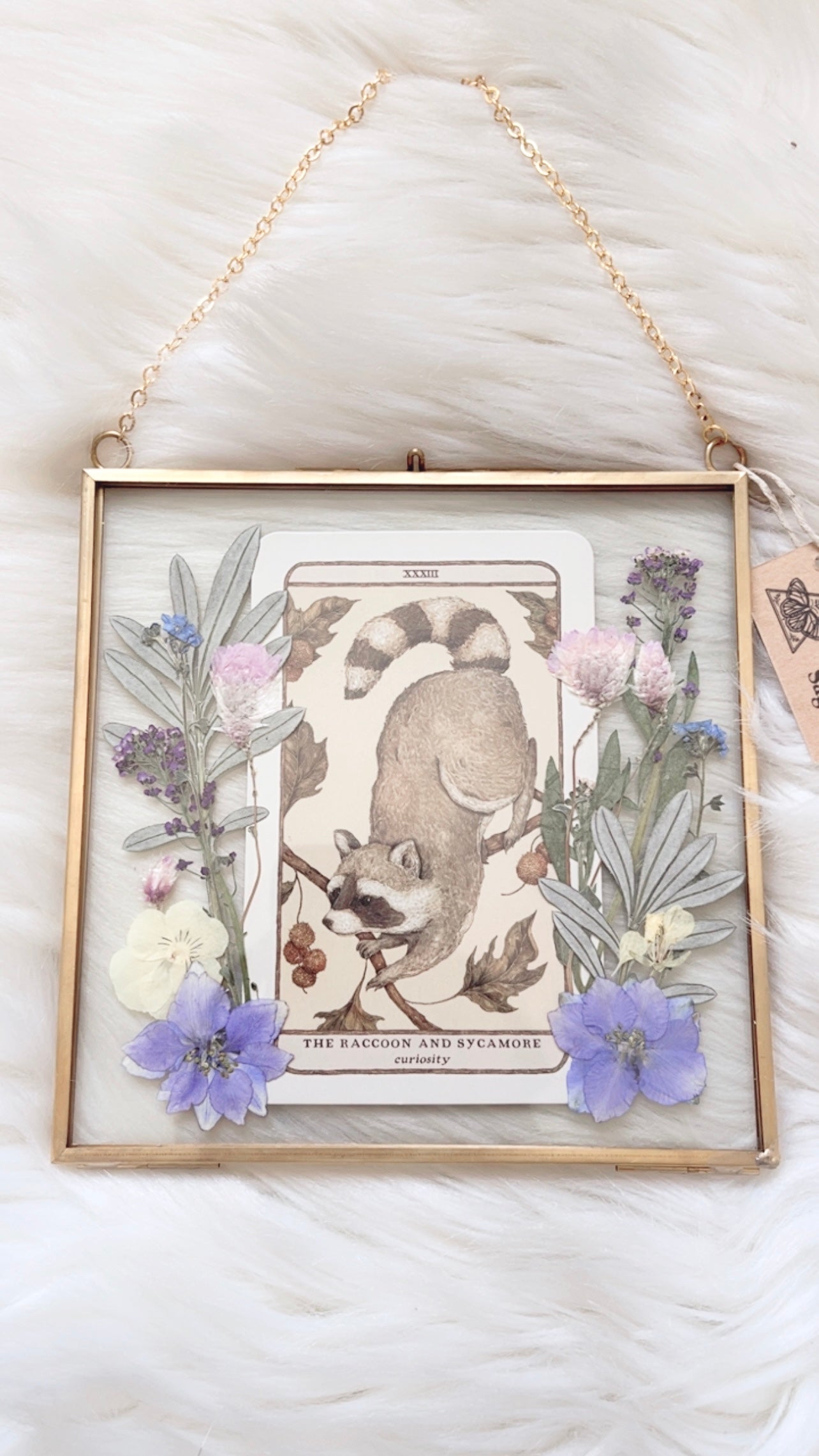 The Raccoon and Sycamore Oracle Floral Frame