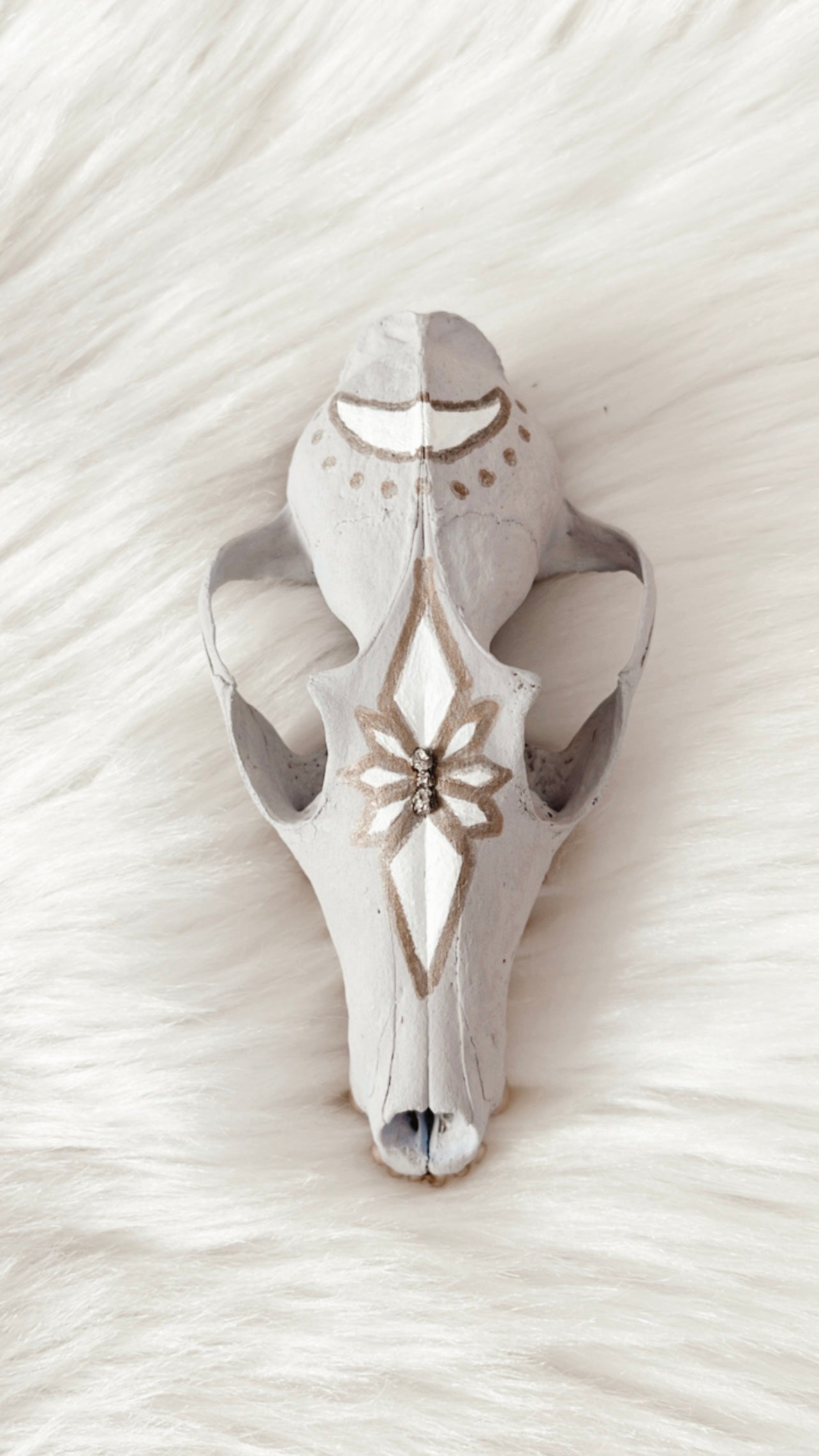 Raine Fox Skull
