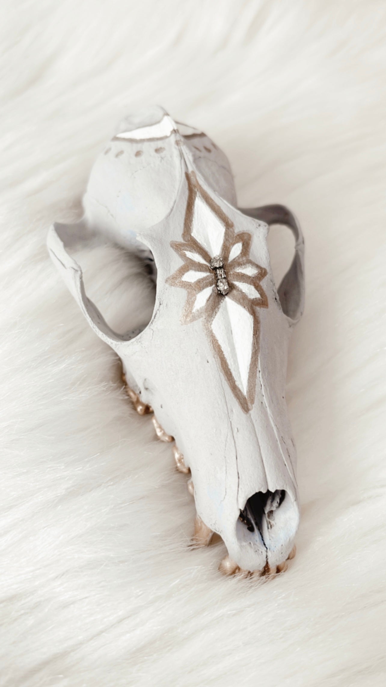 Raine Fox Skull