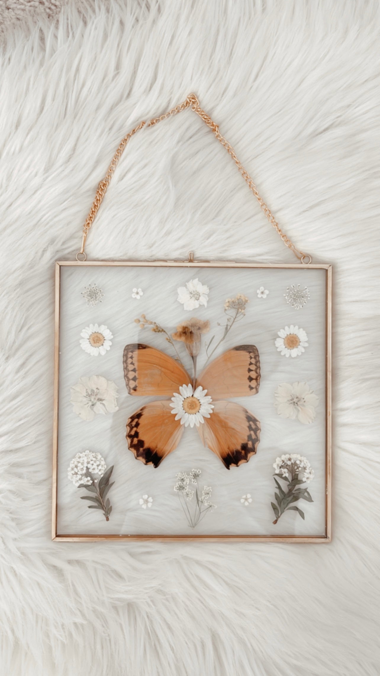 Ramona Butterfly Floral Frame