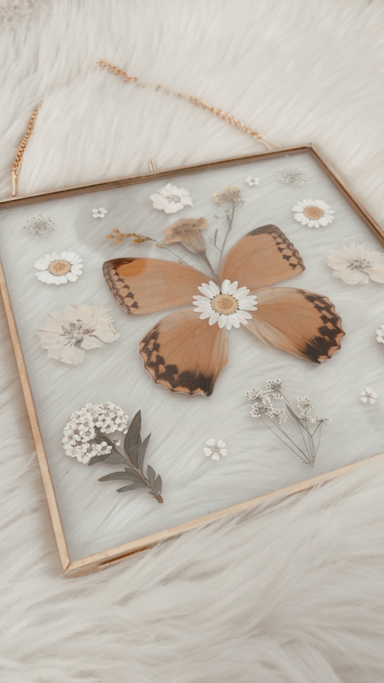 Ramona Butterfly Floral Frame