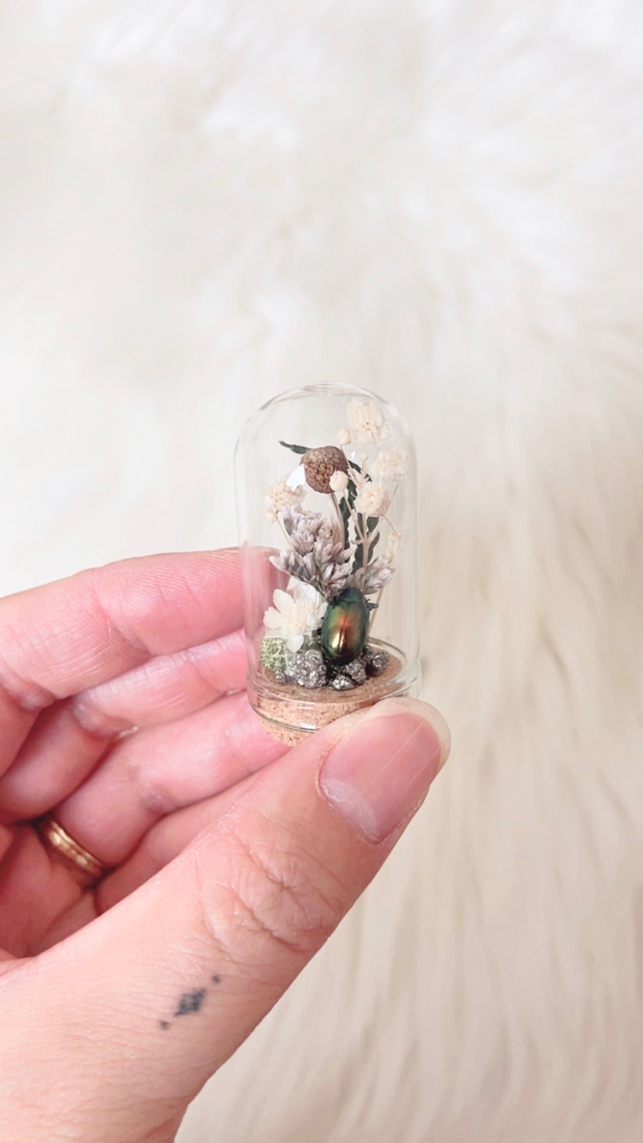 Reese Mini Terrarium
