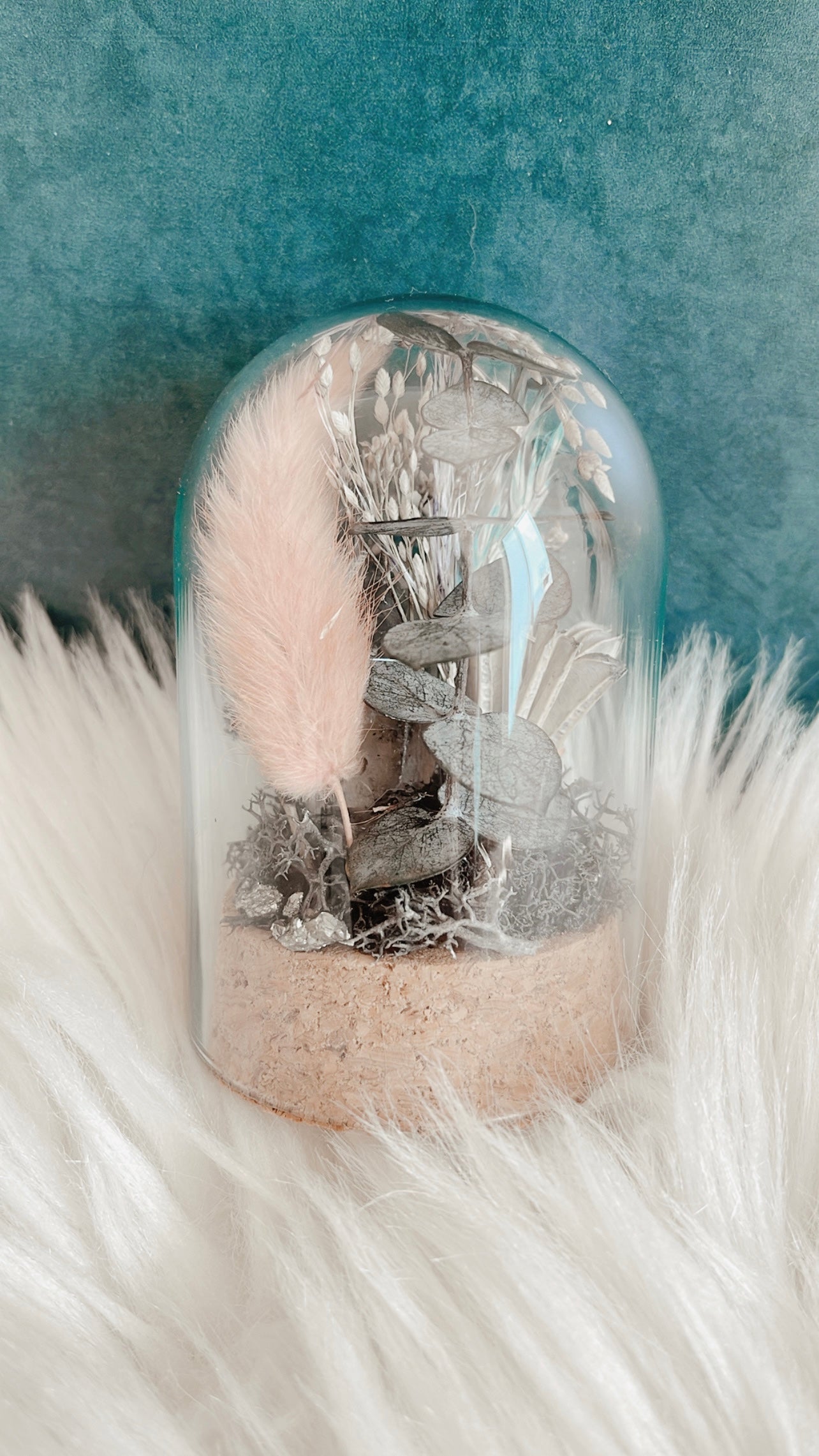 Regina Terrarium