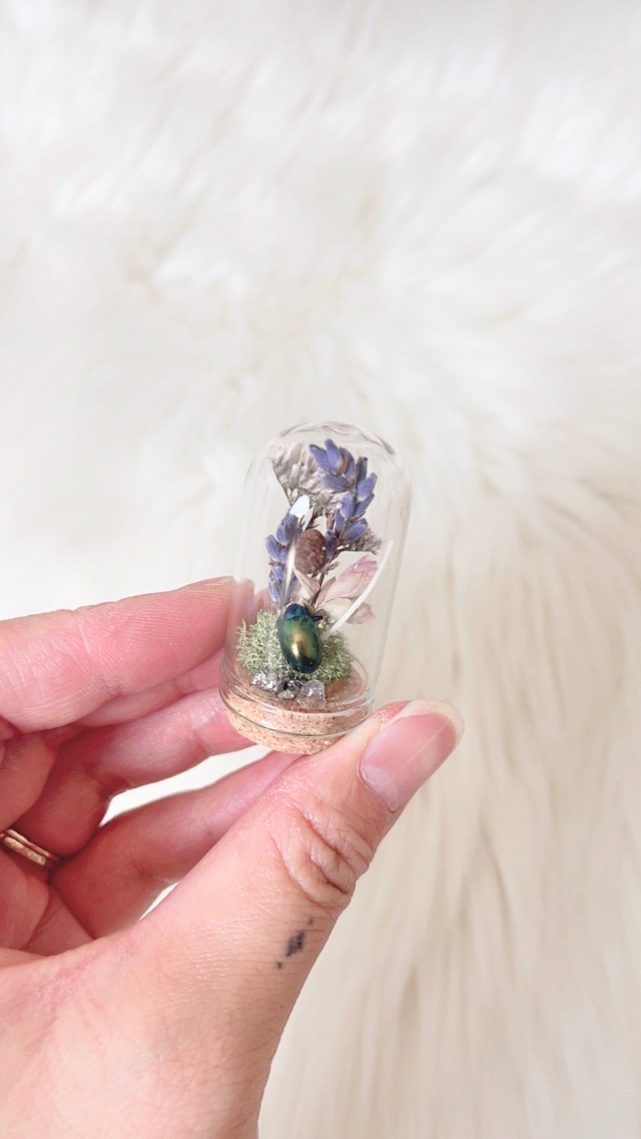Remi Mini Terrarium