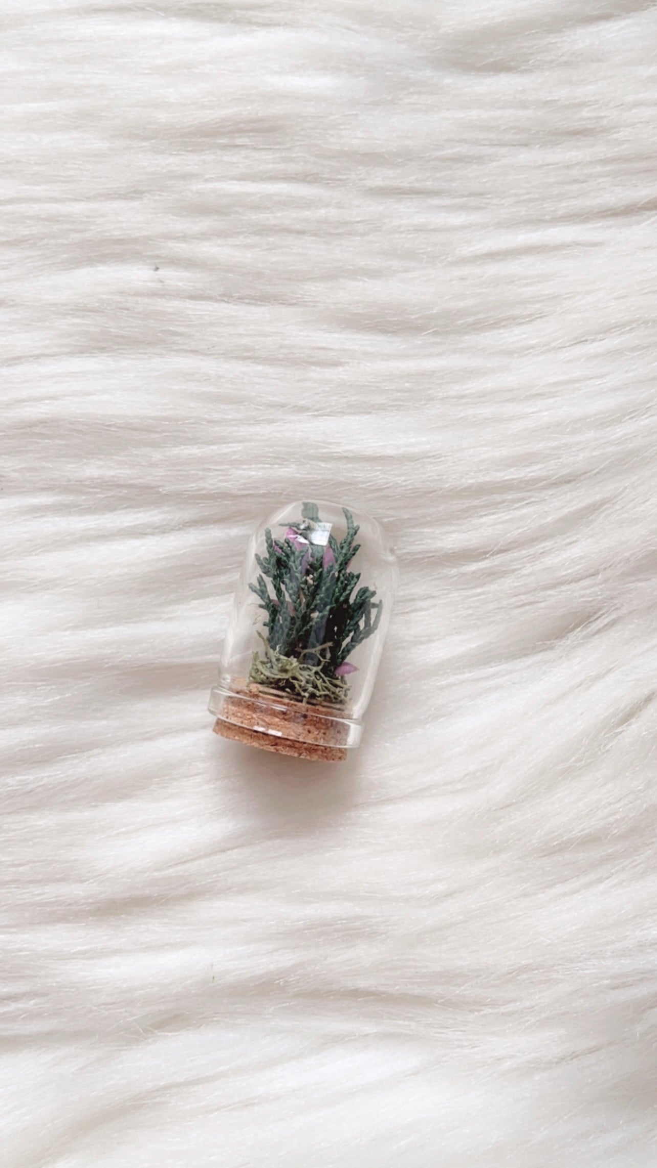 Ren Terrarium