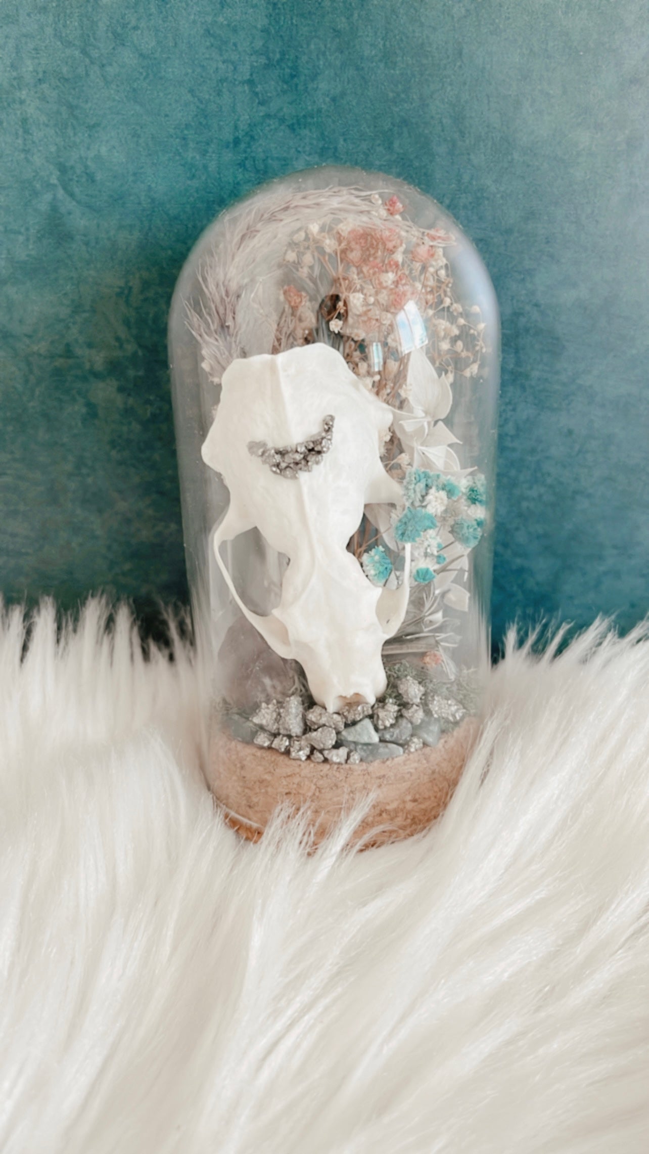 Rita Terrarium
