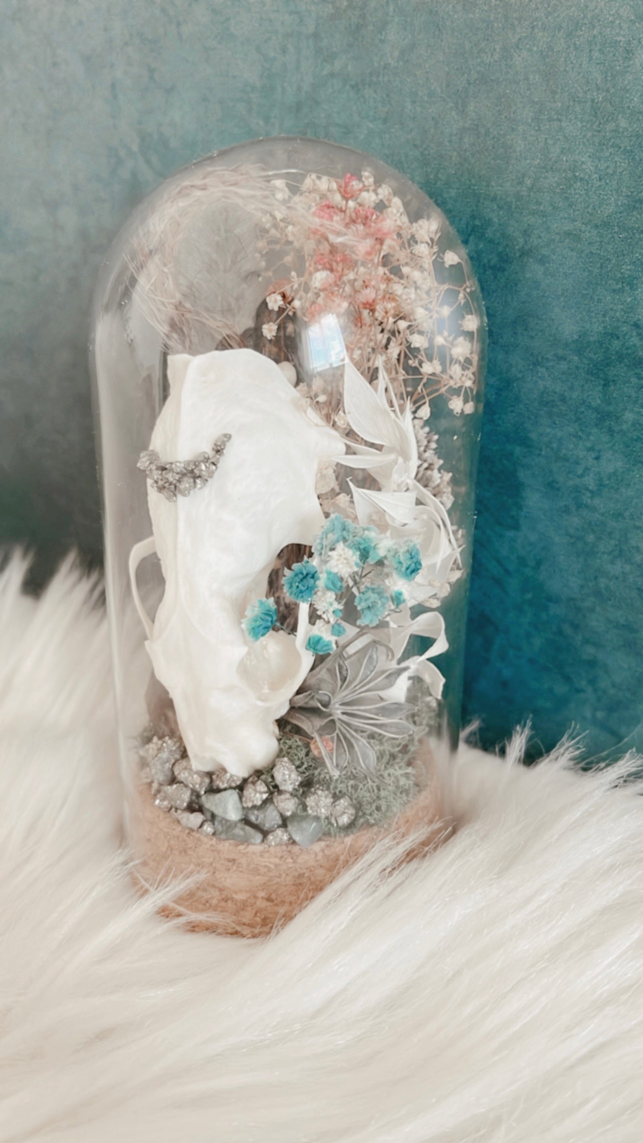 Rita Terrarium