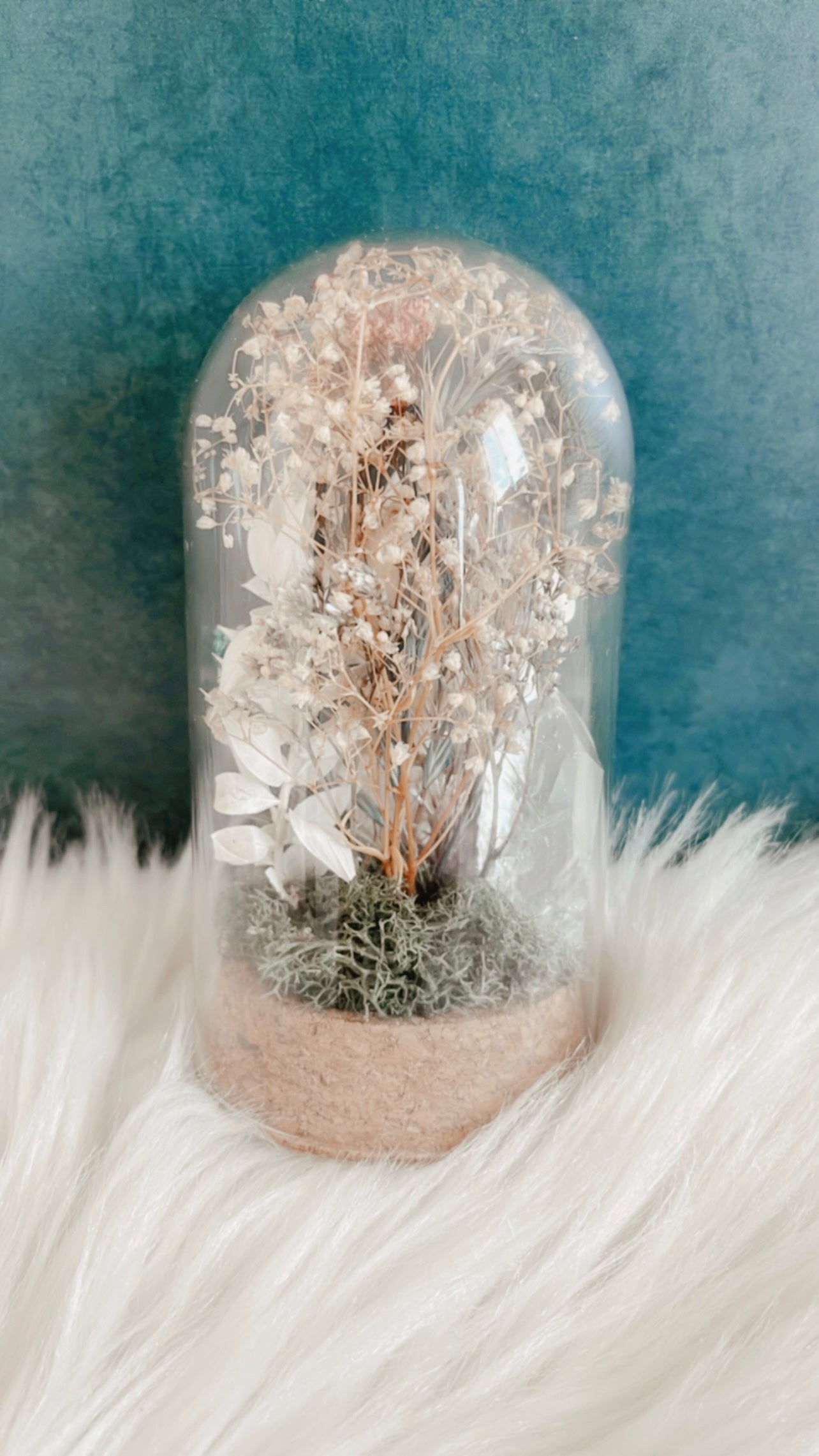 Rita Terrarium
