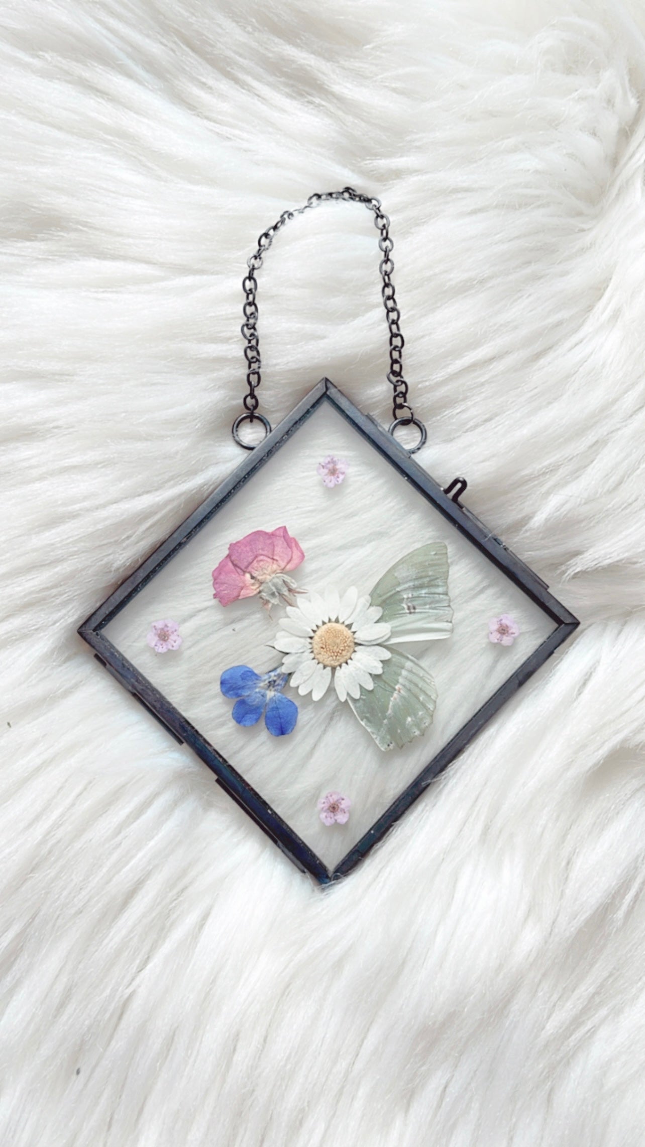 Rory Butterfly Floral Frame